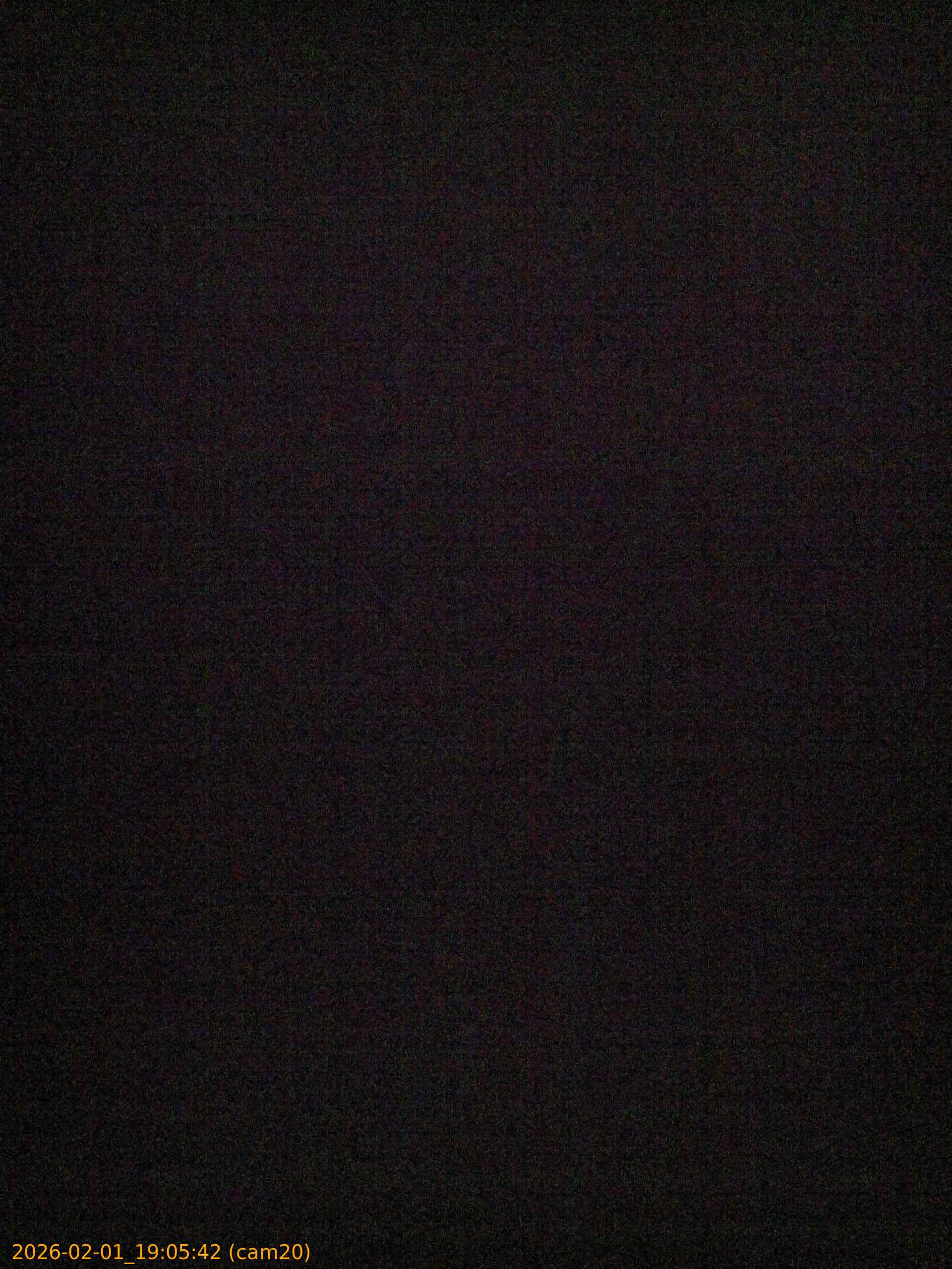 thumbnail_20260201190542