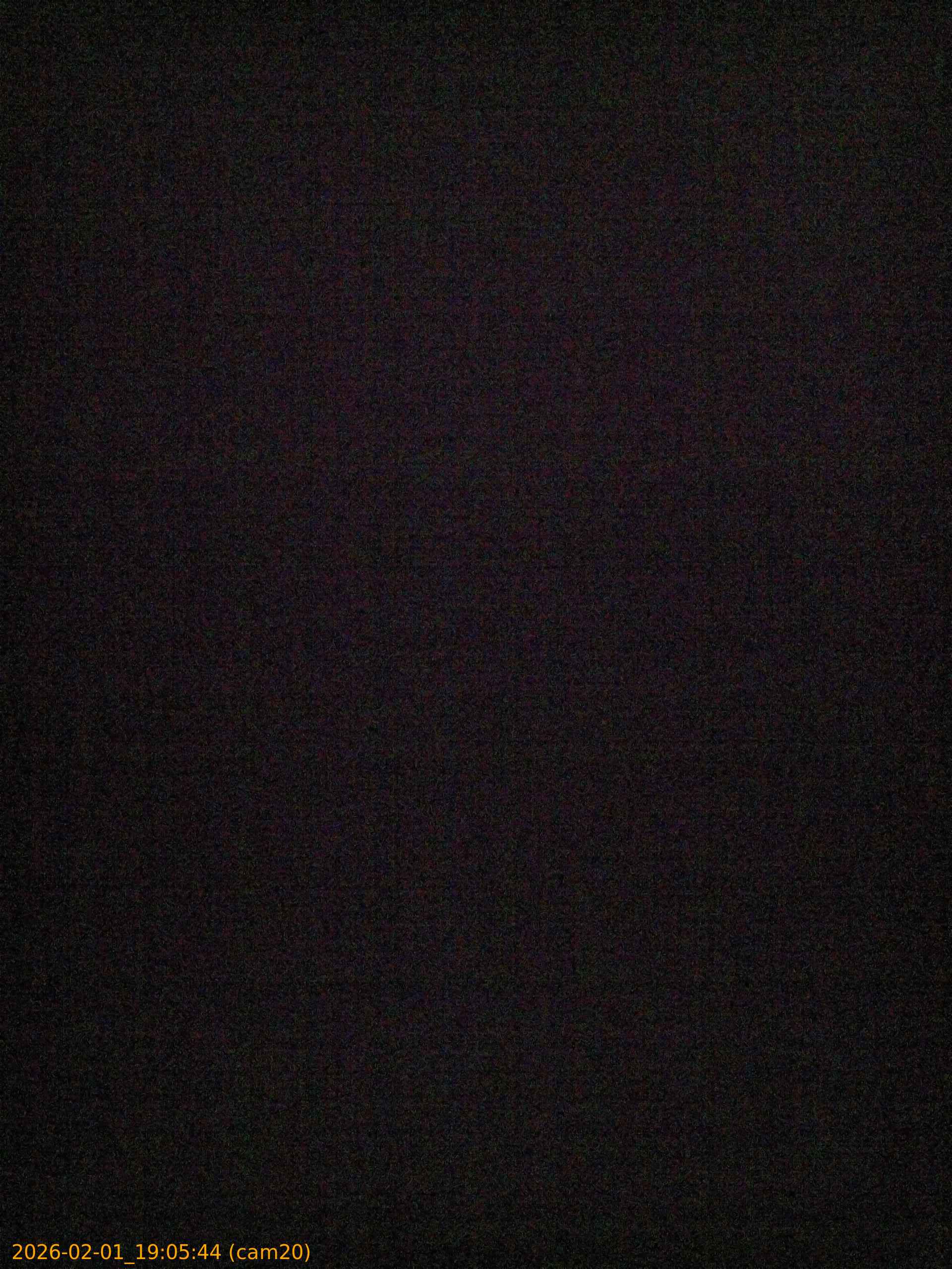 thumbnail_20260201190544