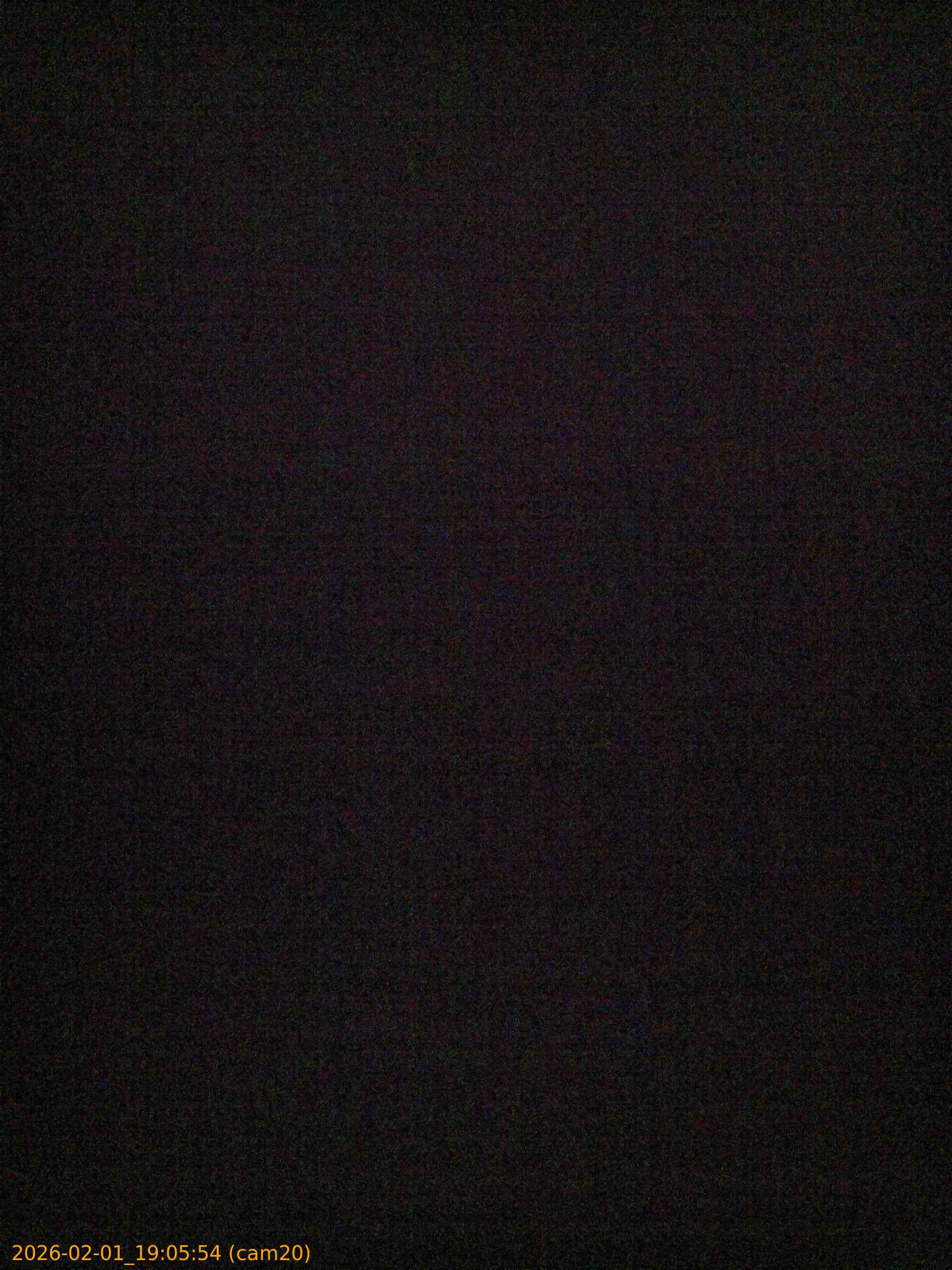 thumbnail_20260201190554