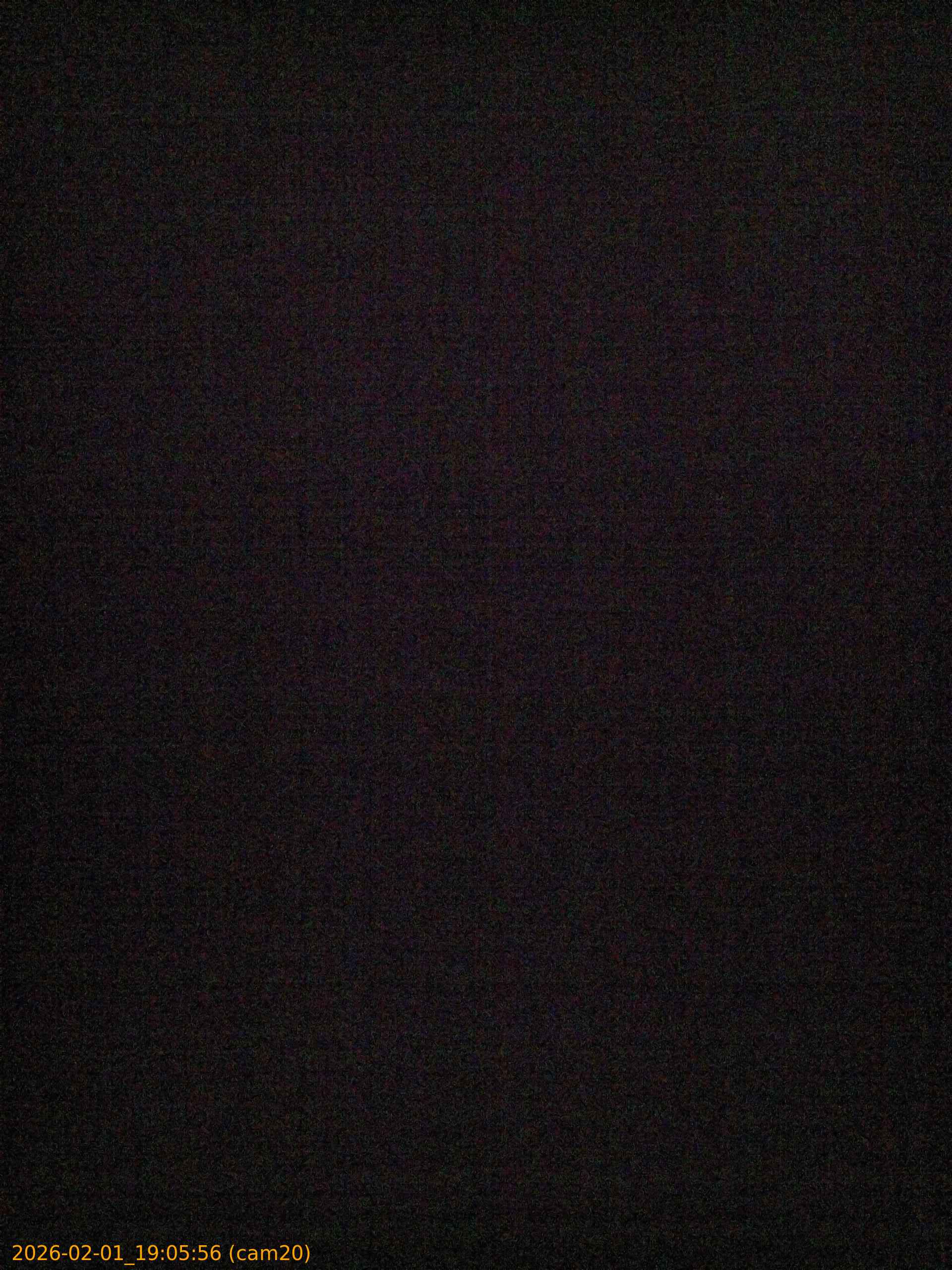 thumbnail_20260201190556