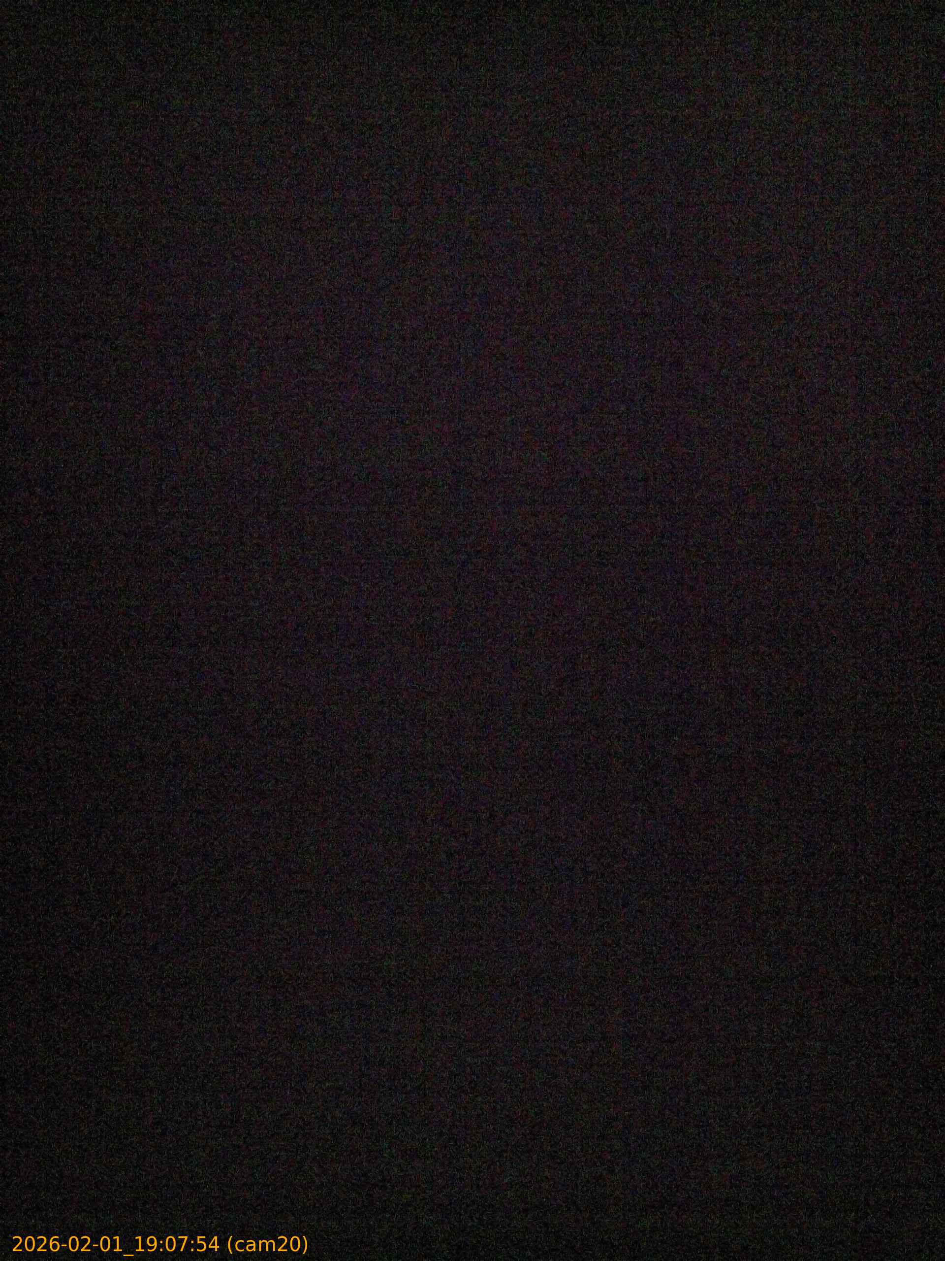 thumbnail_20260201190754