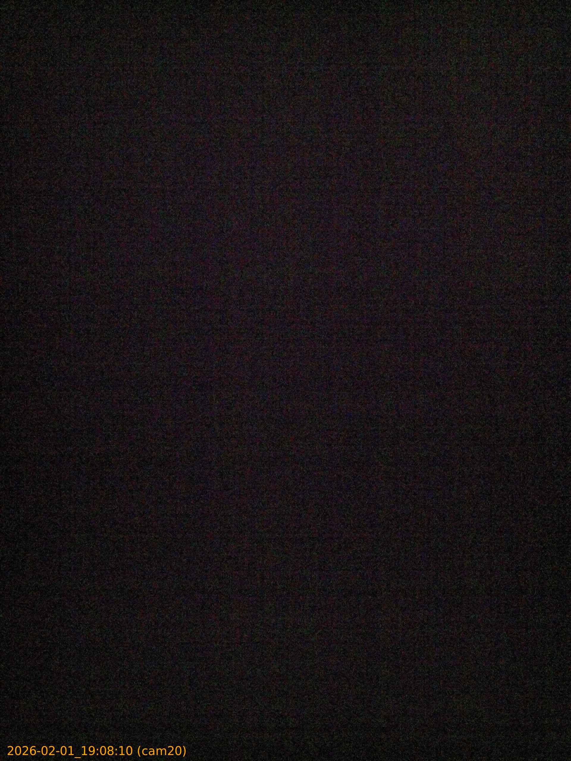 thumbnail_20260201190810