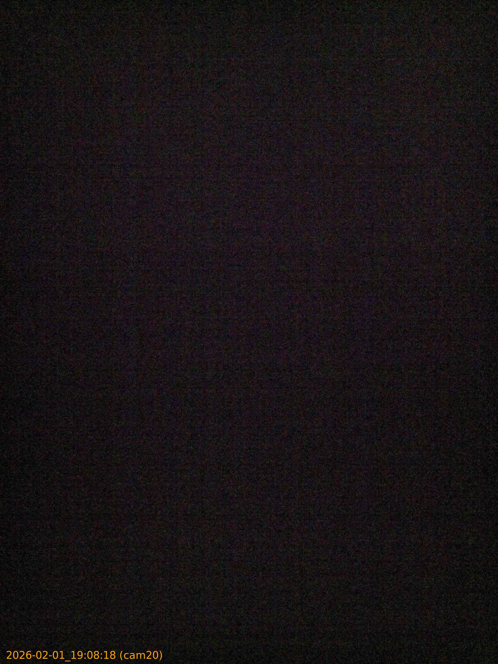 thumbnail_20260201190817