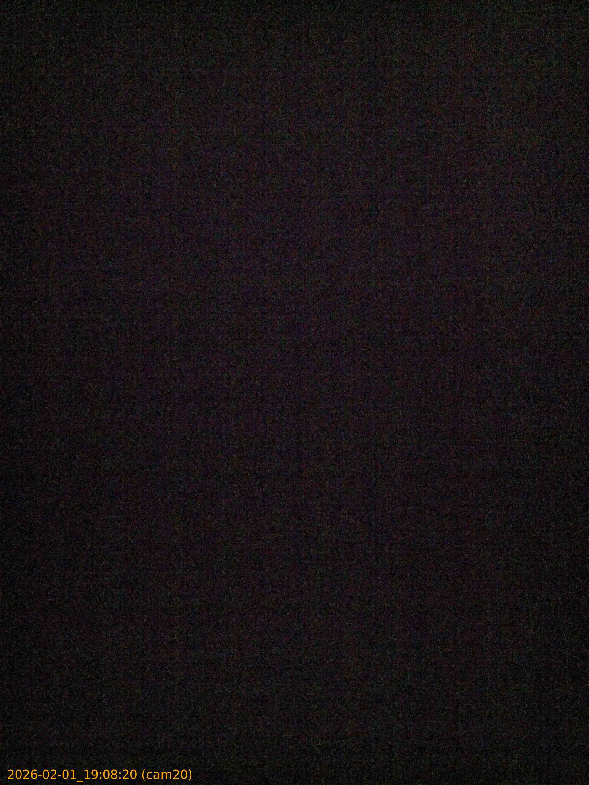 thumbnail_20260201190819