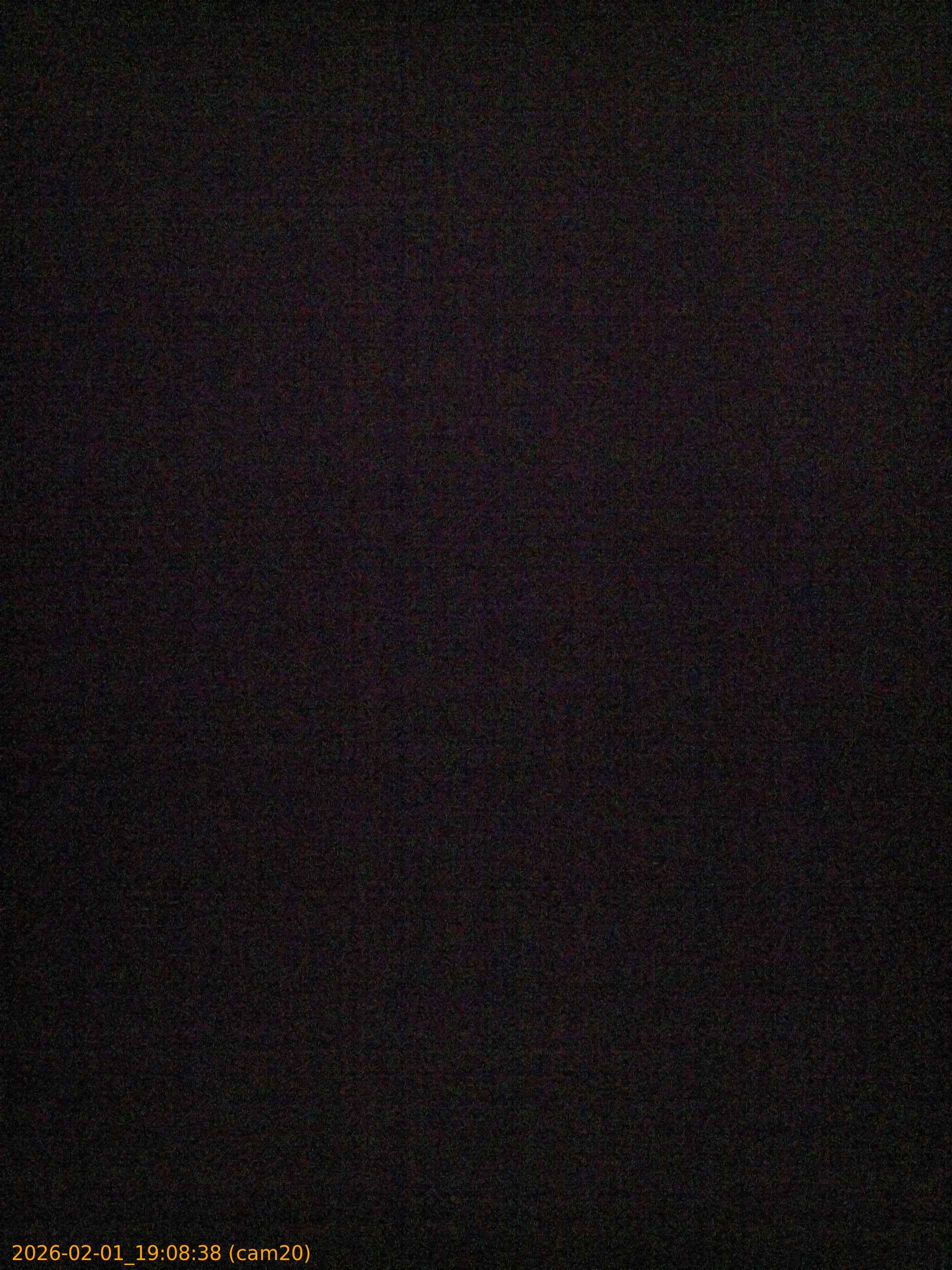 thumbnail_20260201190838