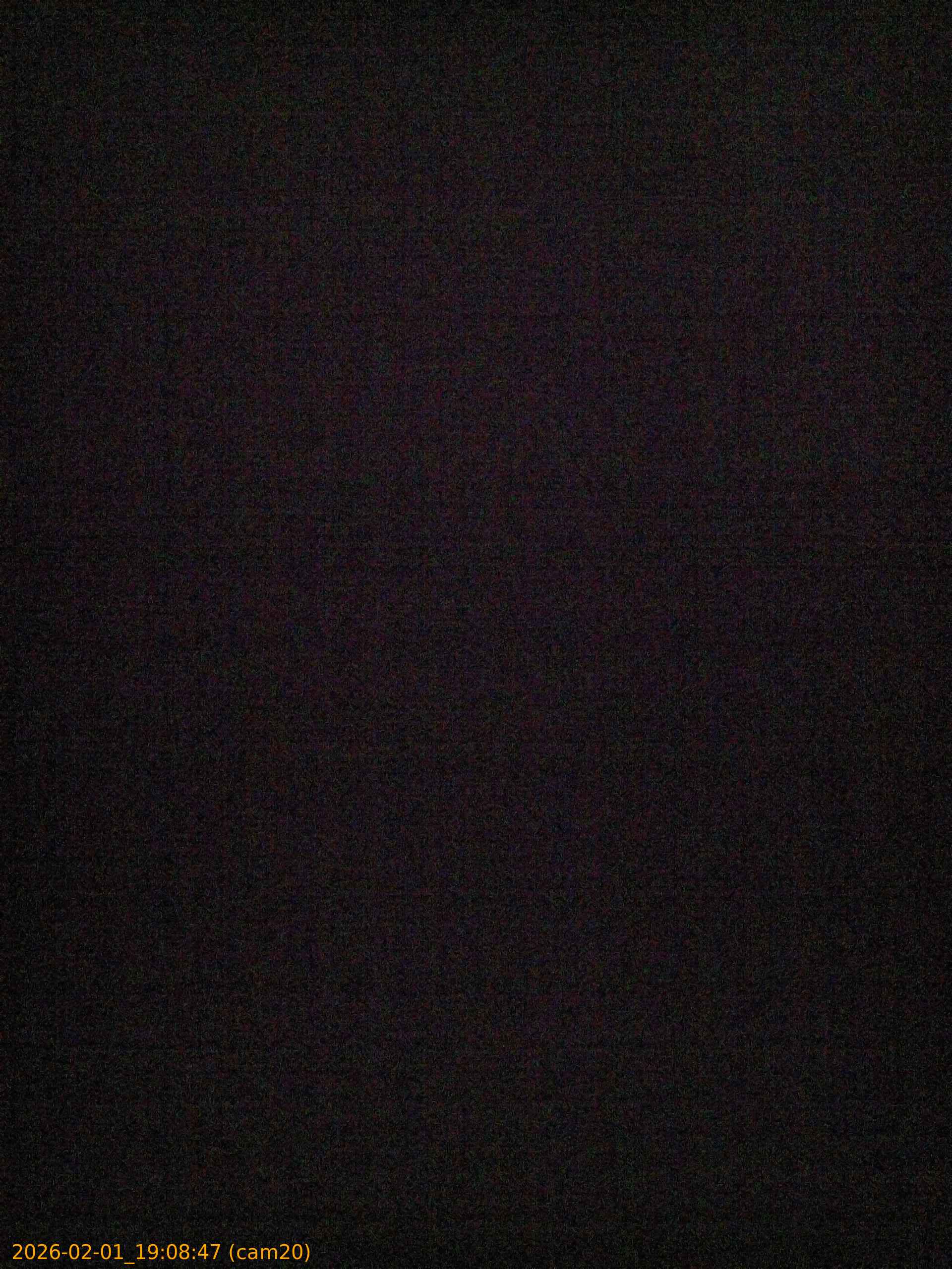 thumbnail_20260201190847