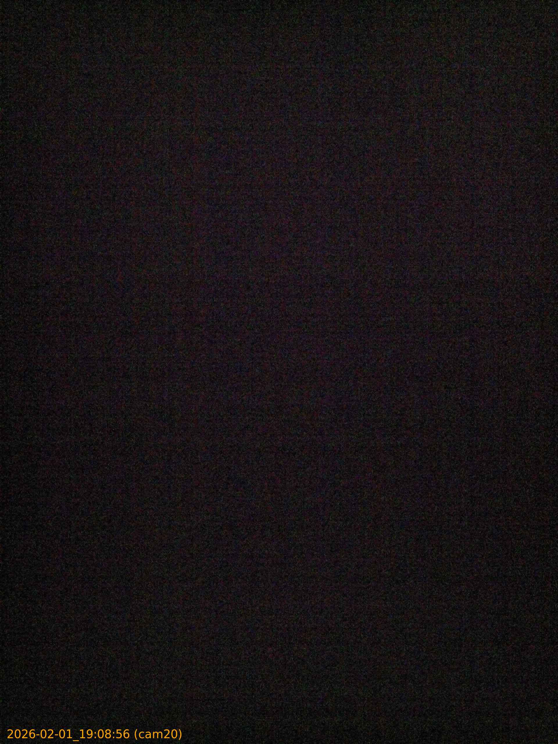 thumbnail_20260201190856