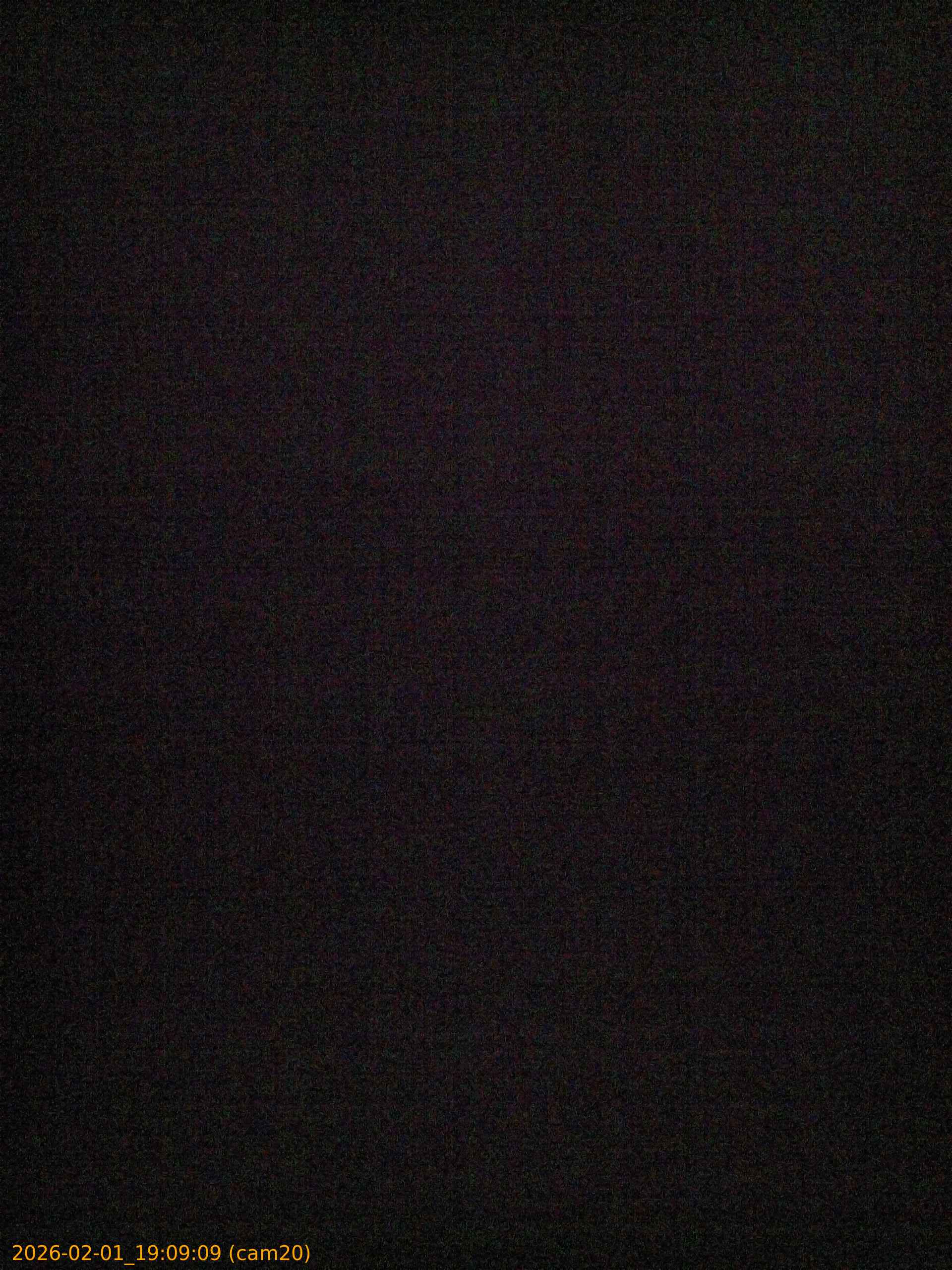 thumbnail_20260201190909