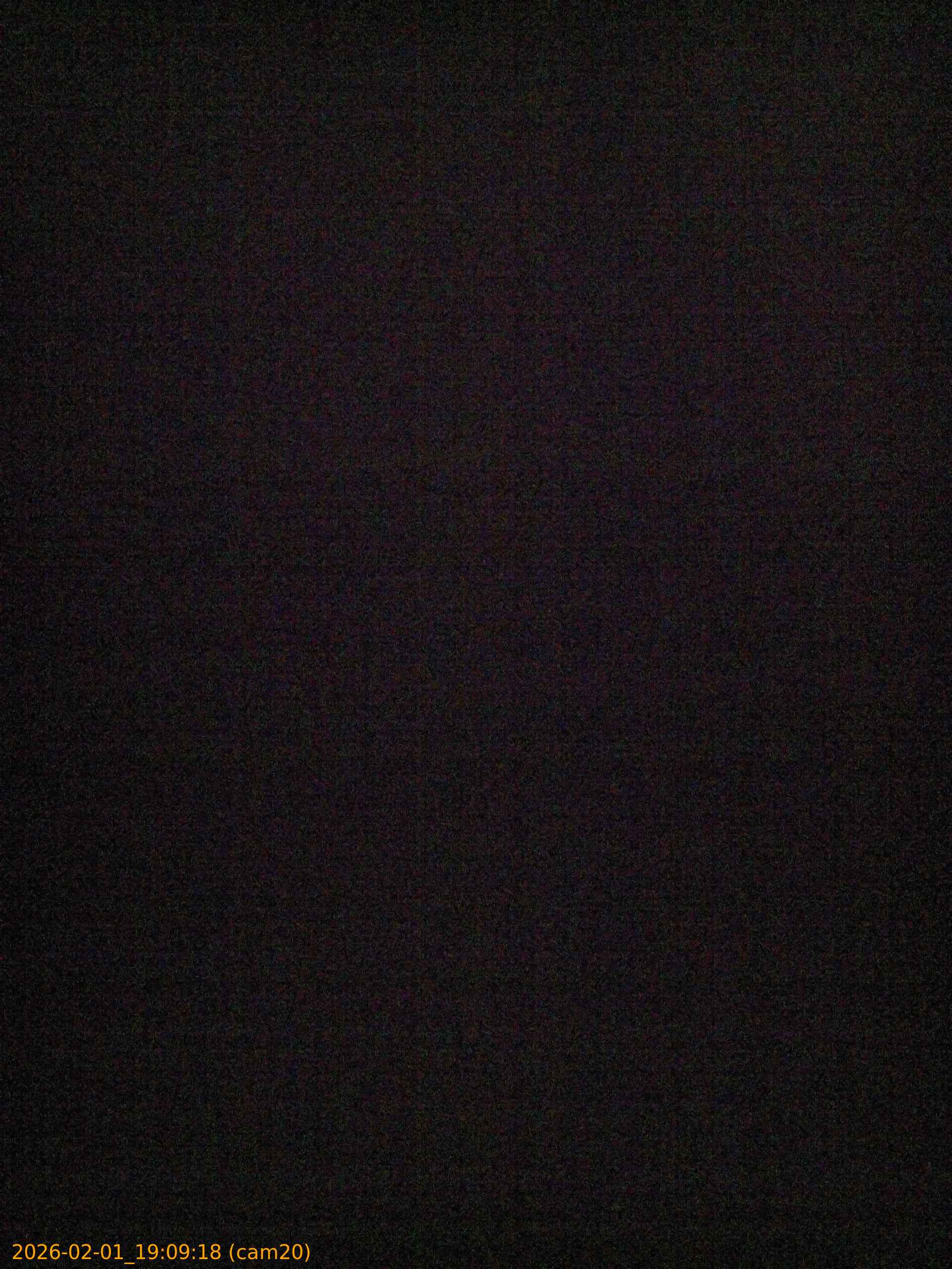 thumbnail_20260201190918