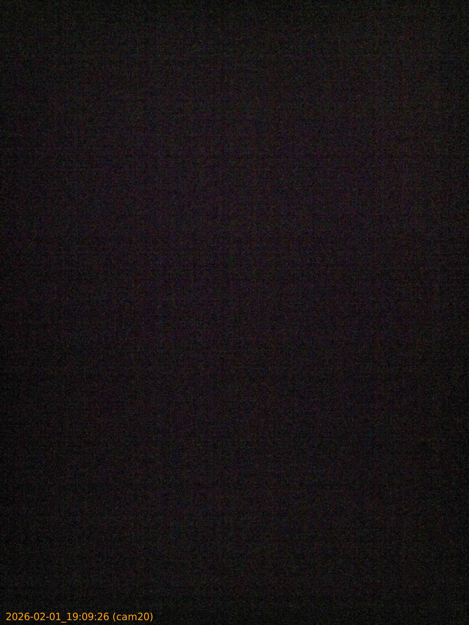 thumbnail_20260201190926