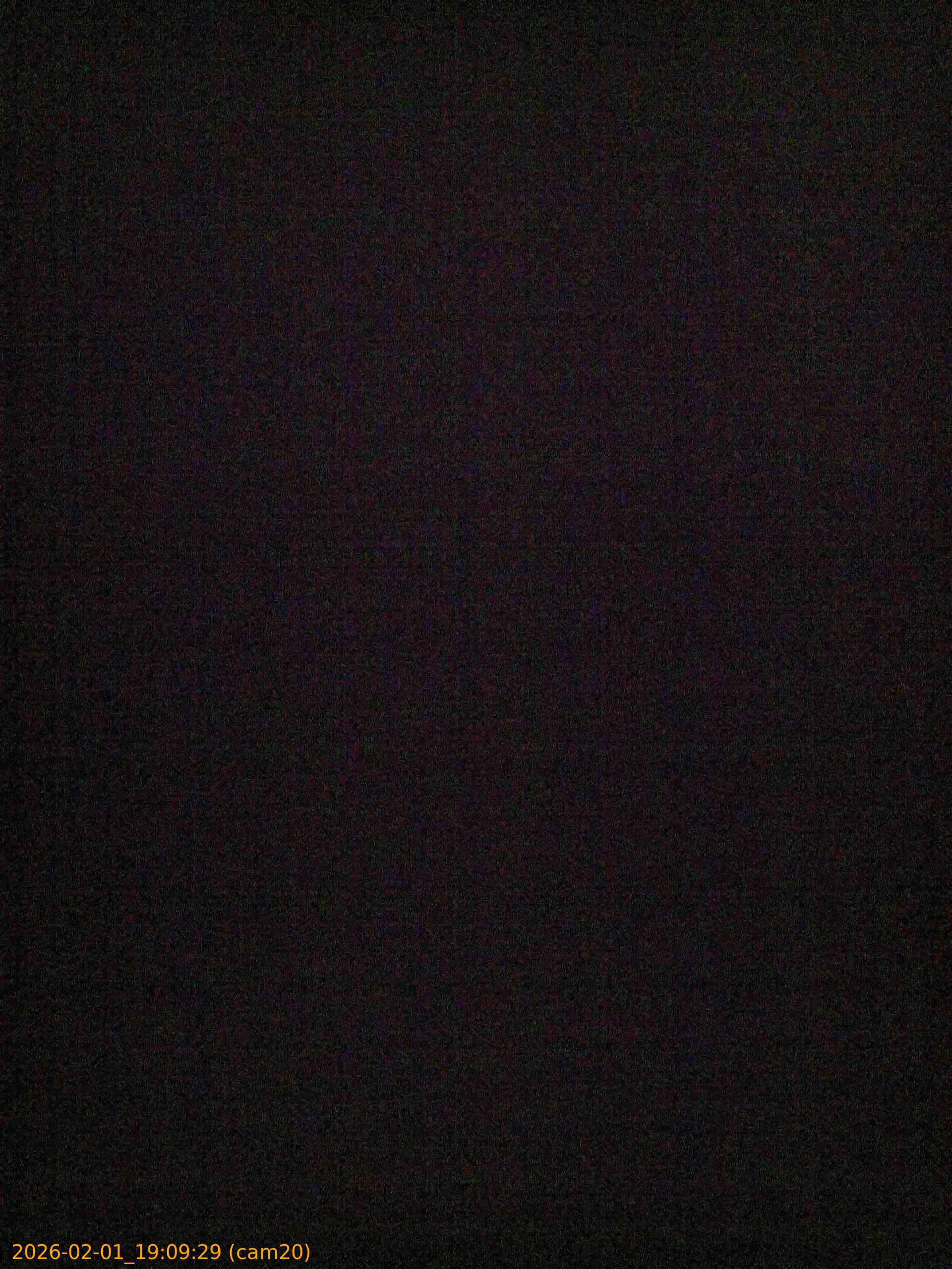 thumbnail_20260201190929