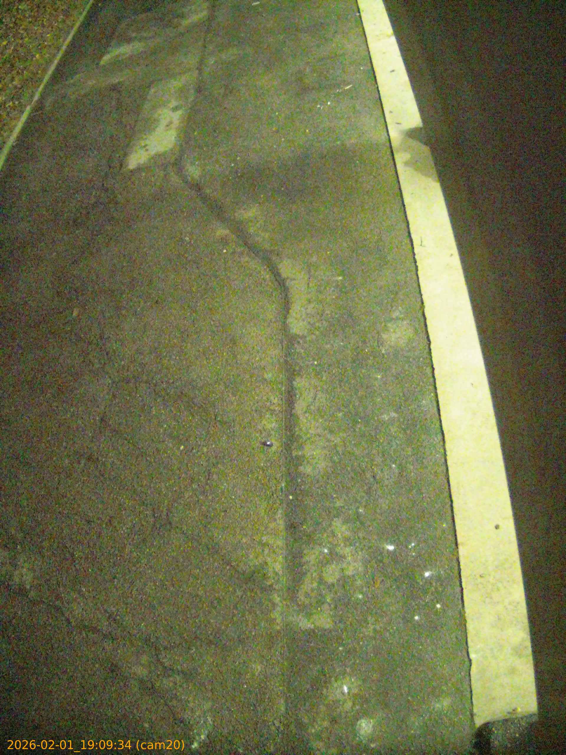 thumbnail_20260201190933