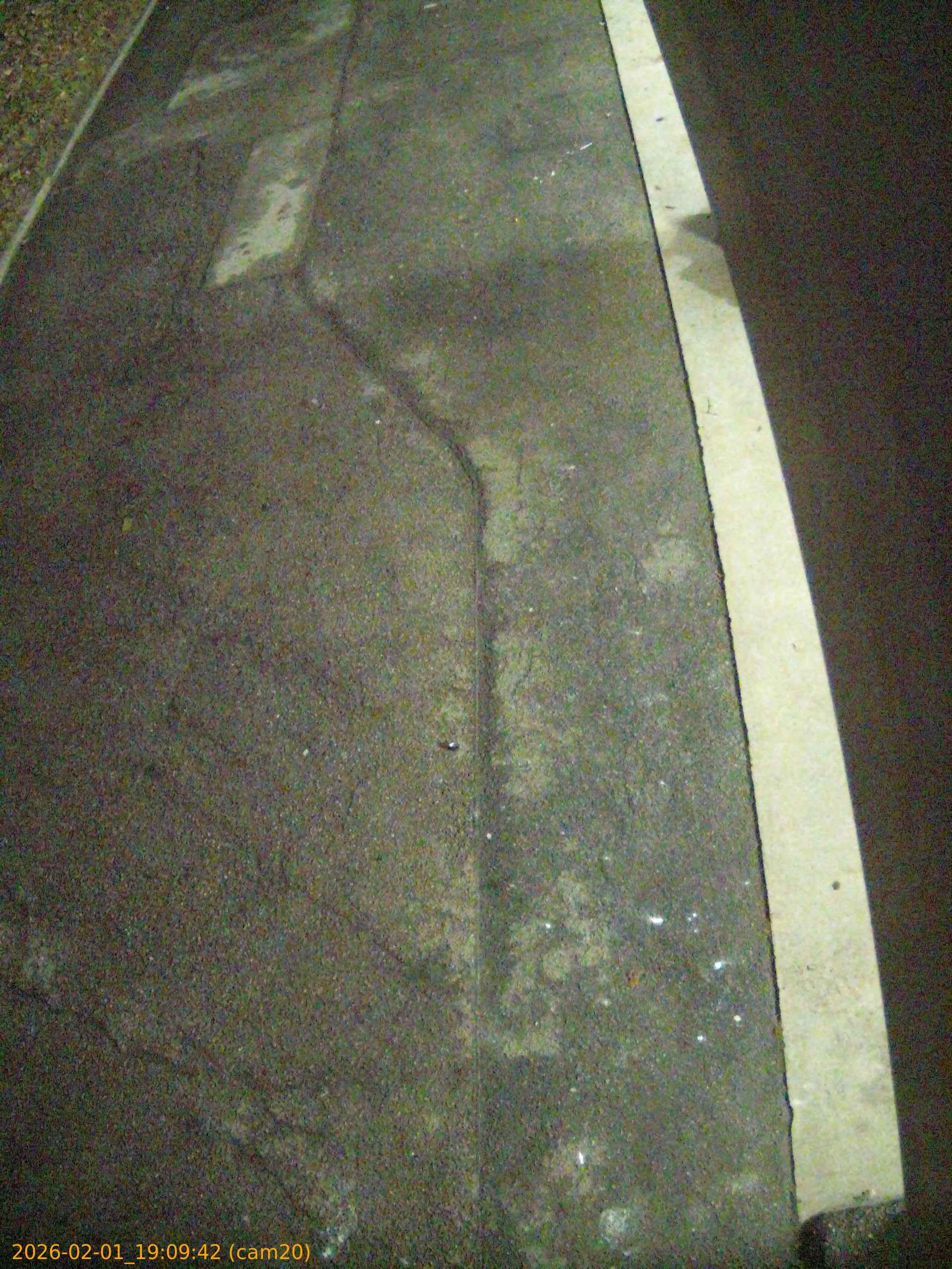 thumbnail_20260201190942