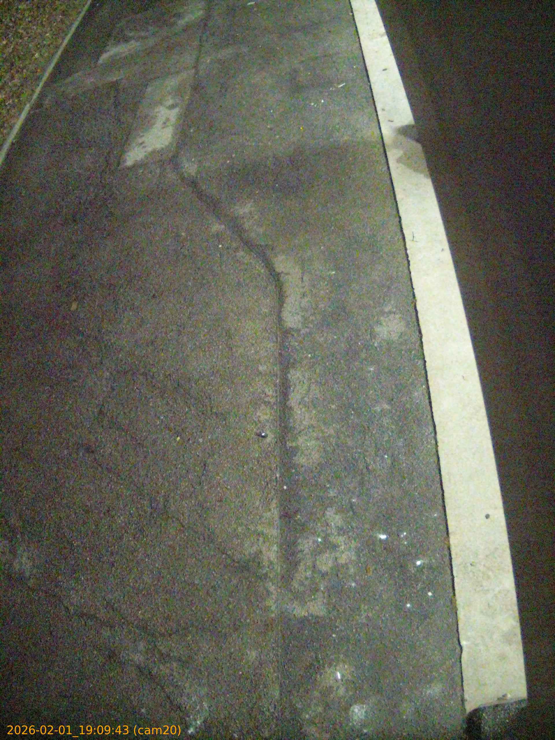 thumbnail_20260201190943