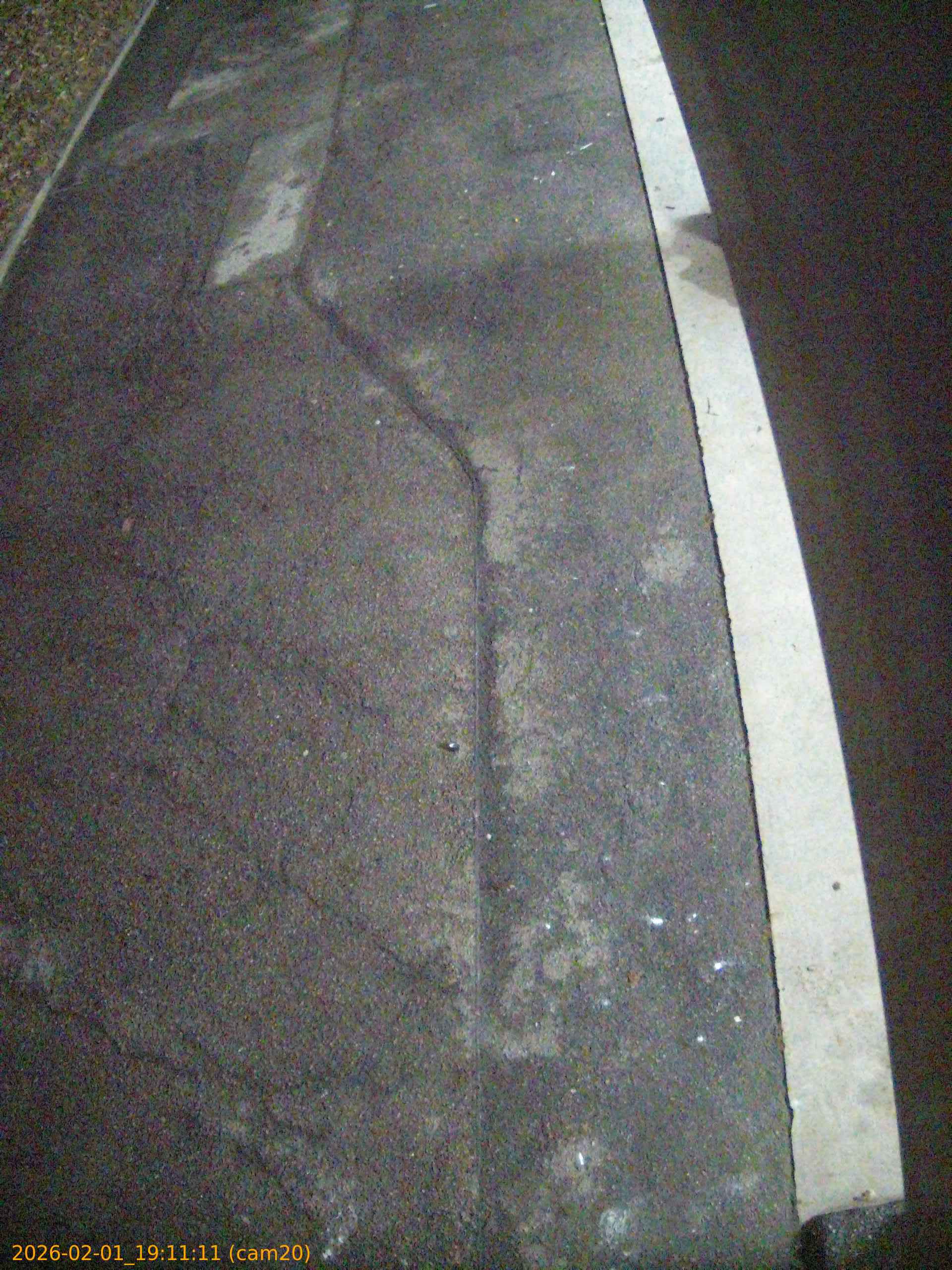 thumbnail_20260201191111