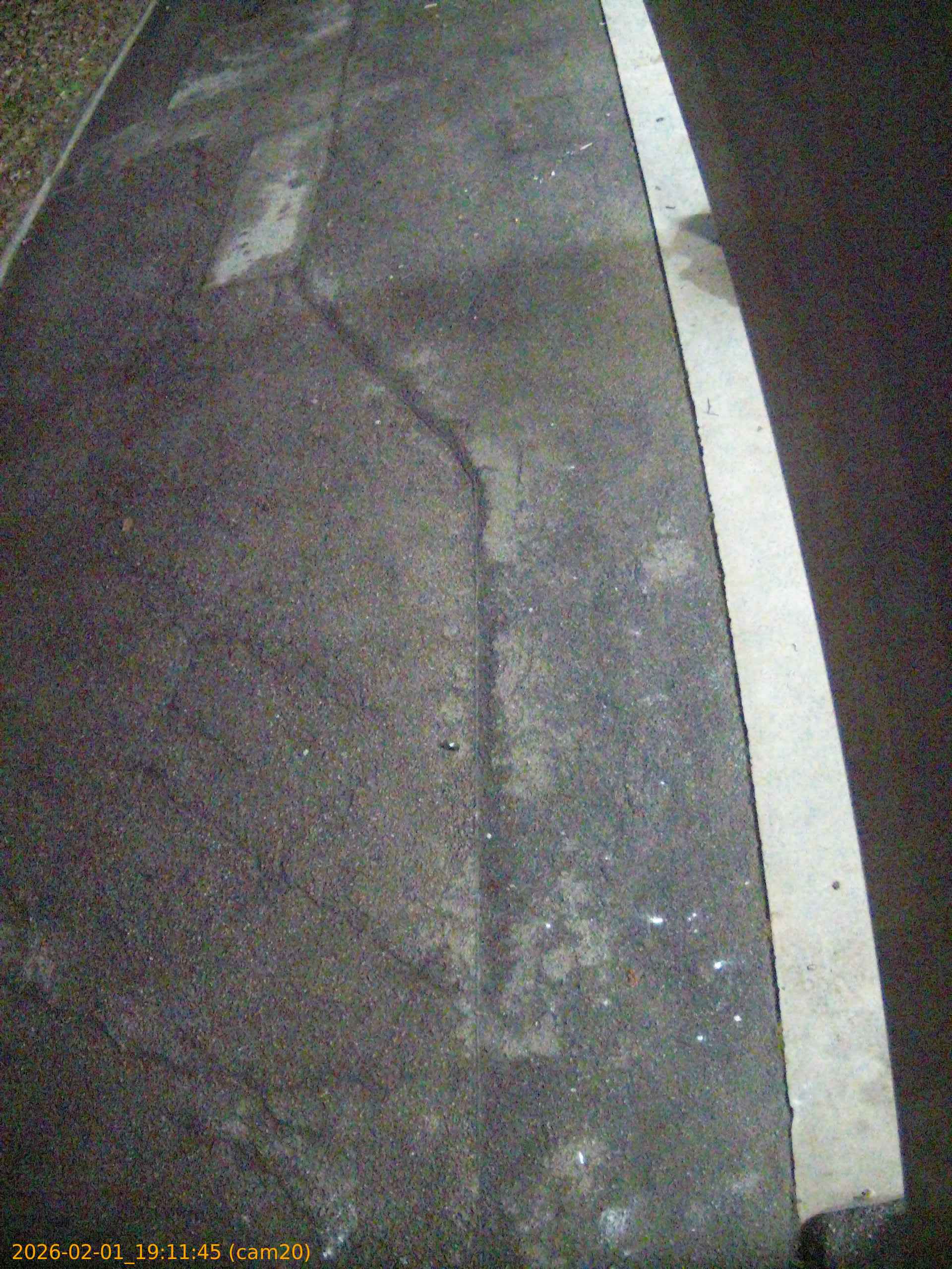 thumbnail_20260201191145