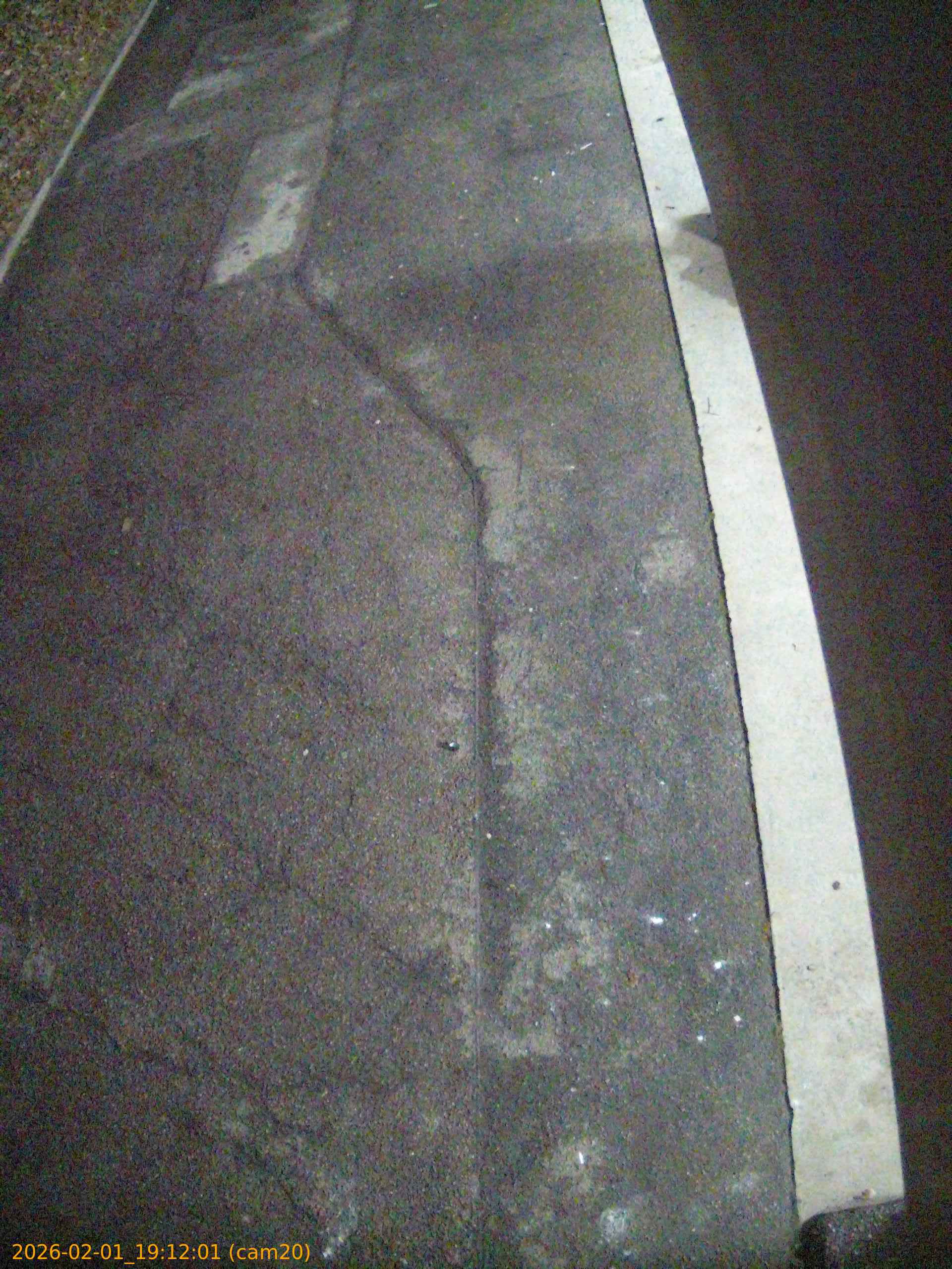 thumbnail_20260201191201