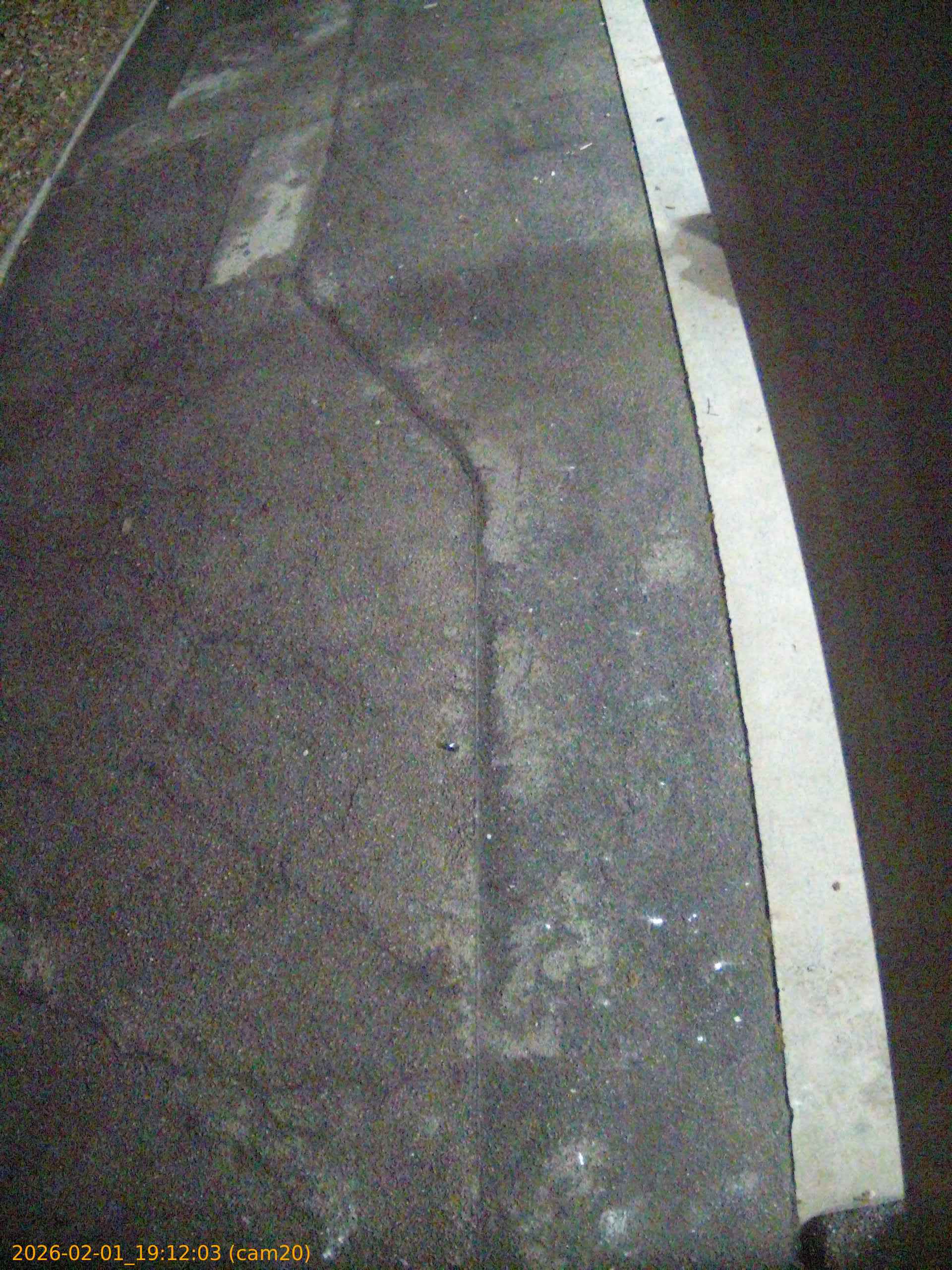 thumbnail_20260201191203