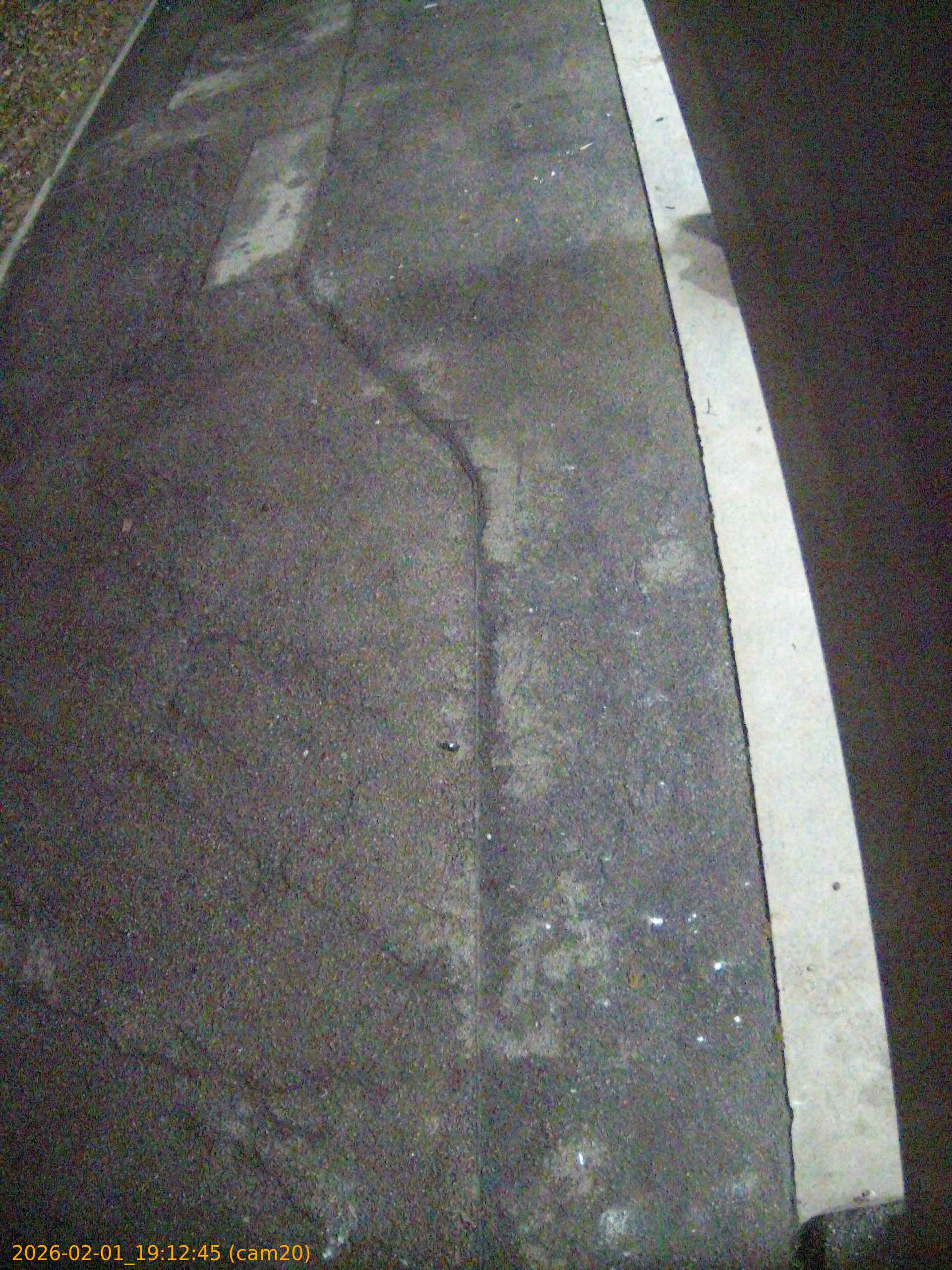 thumbnail_20260201191245