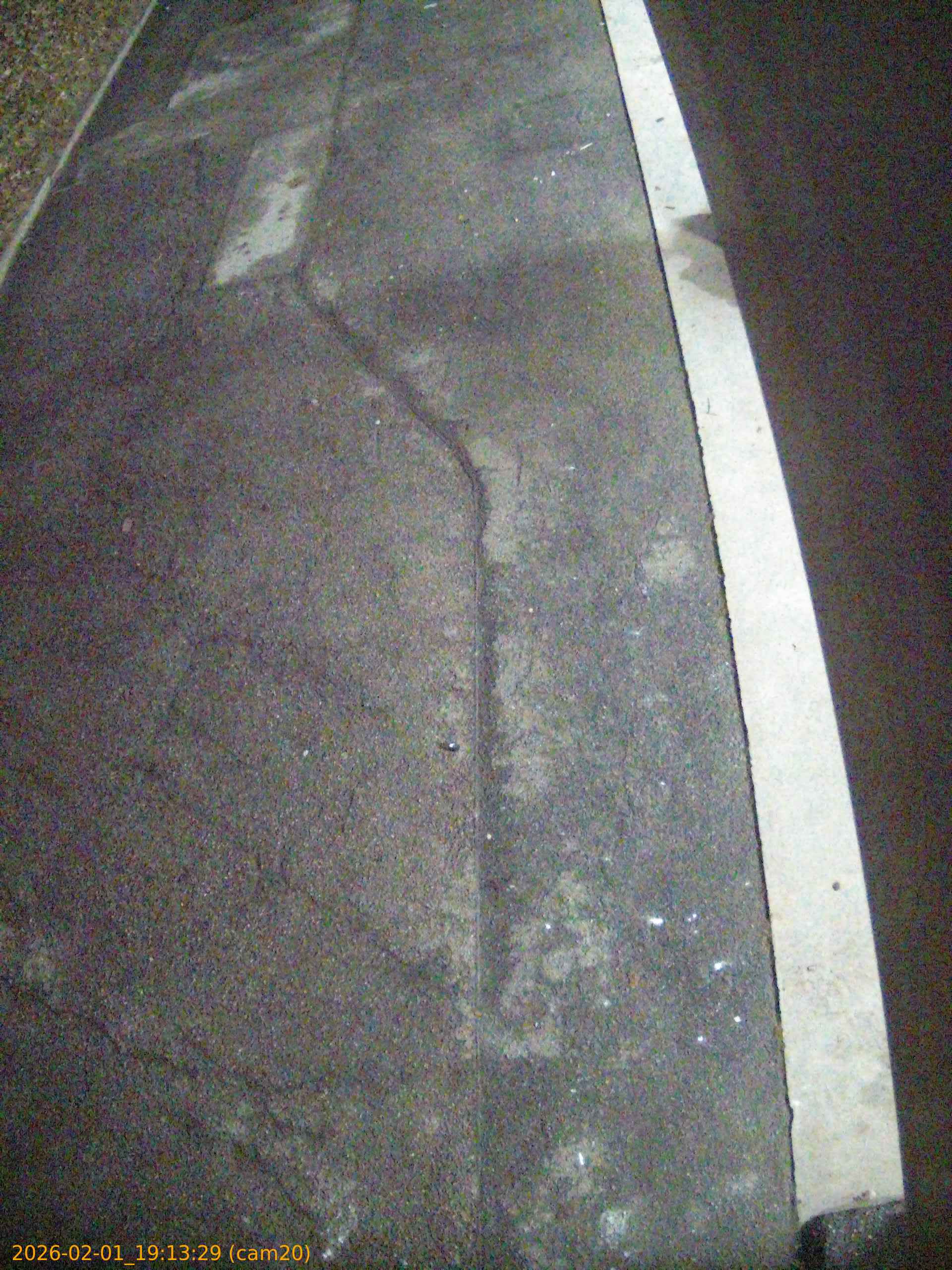 thumbnail_20260201191329