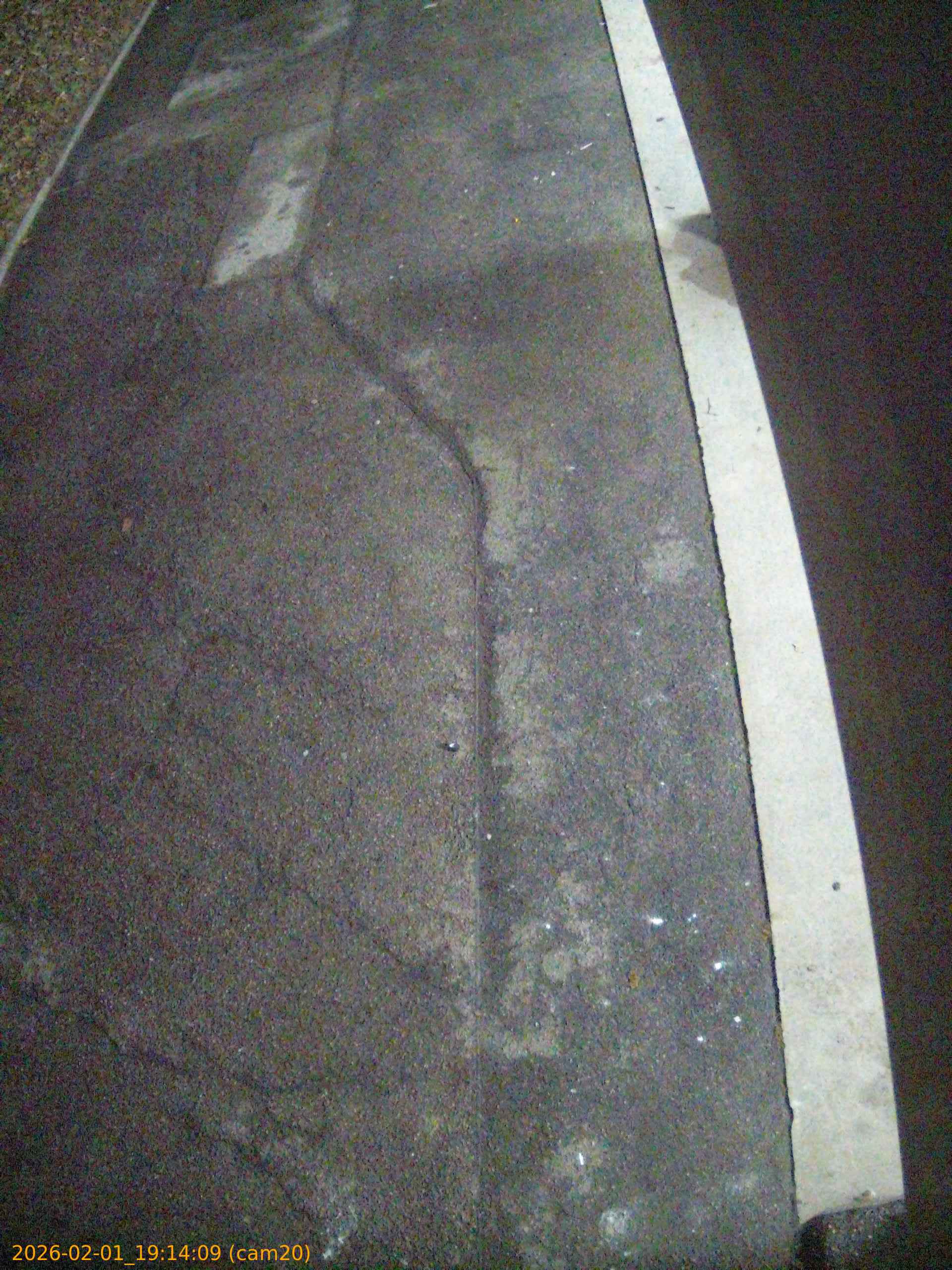 thumbnail_20260201191409