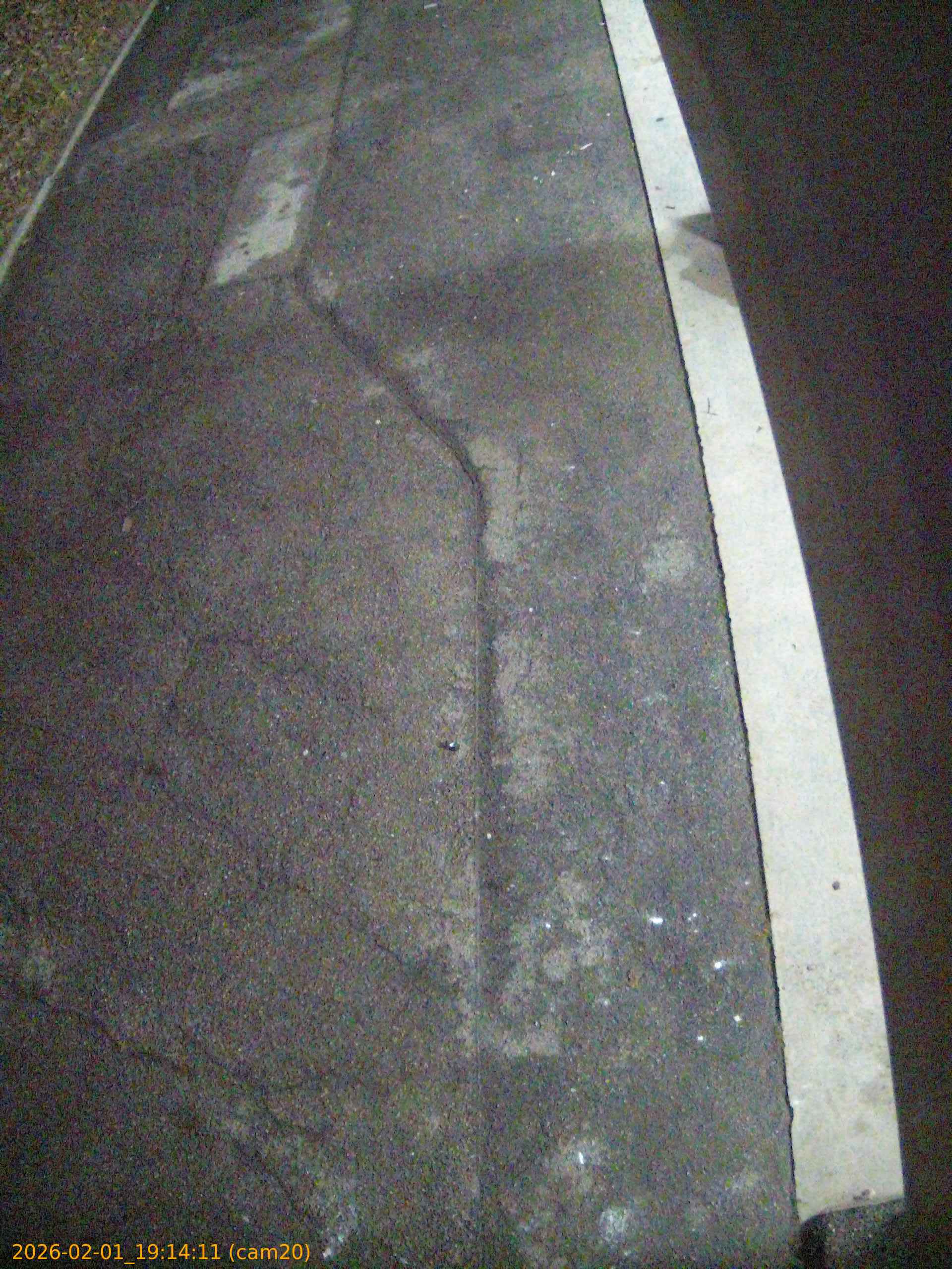 thumbnail_20260201191411