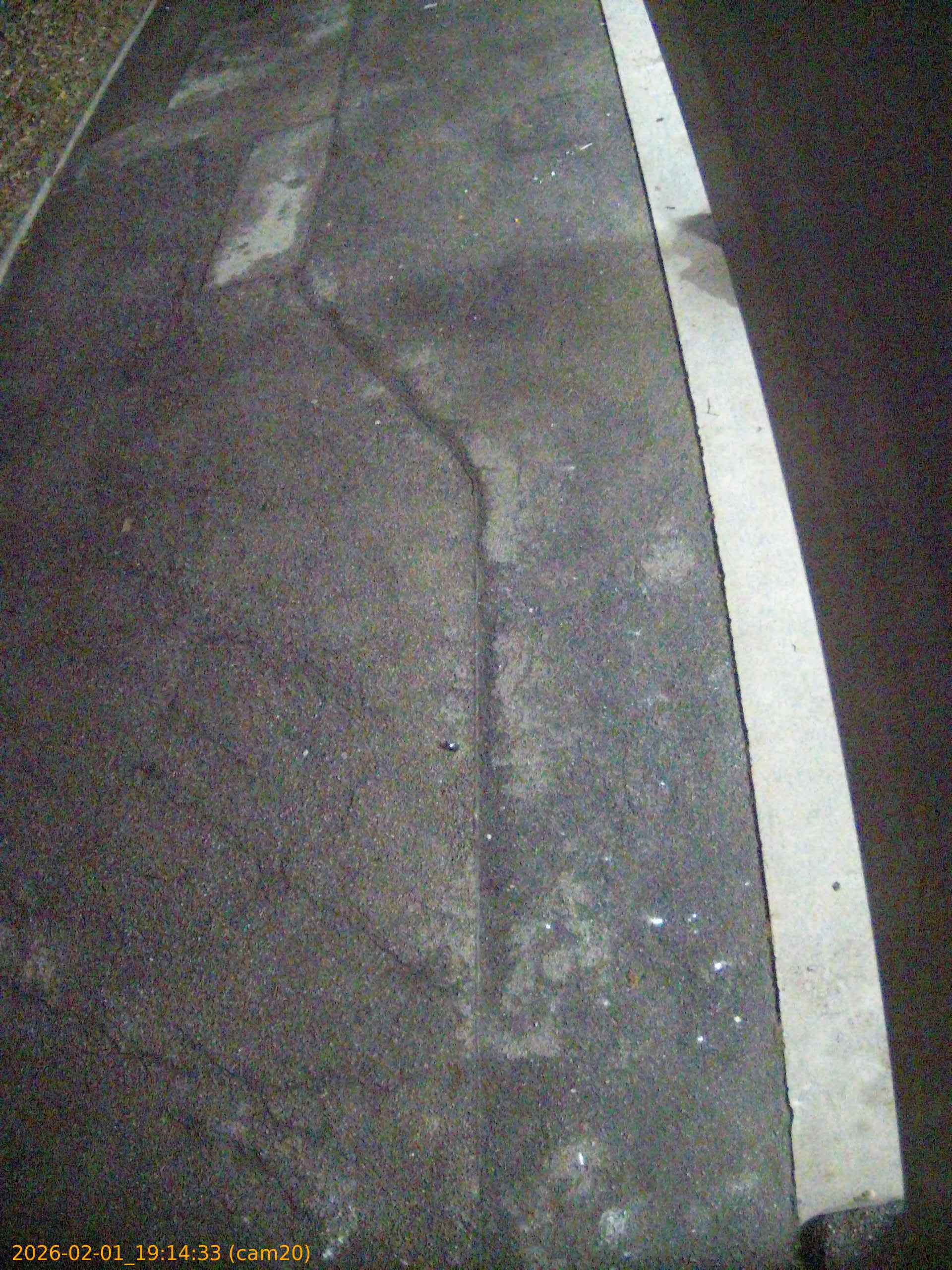 thumbnail_20260201191433