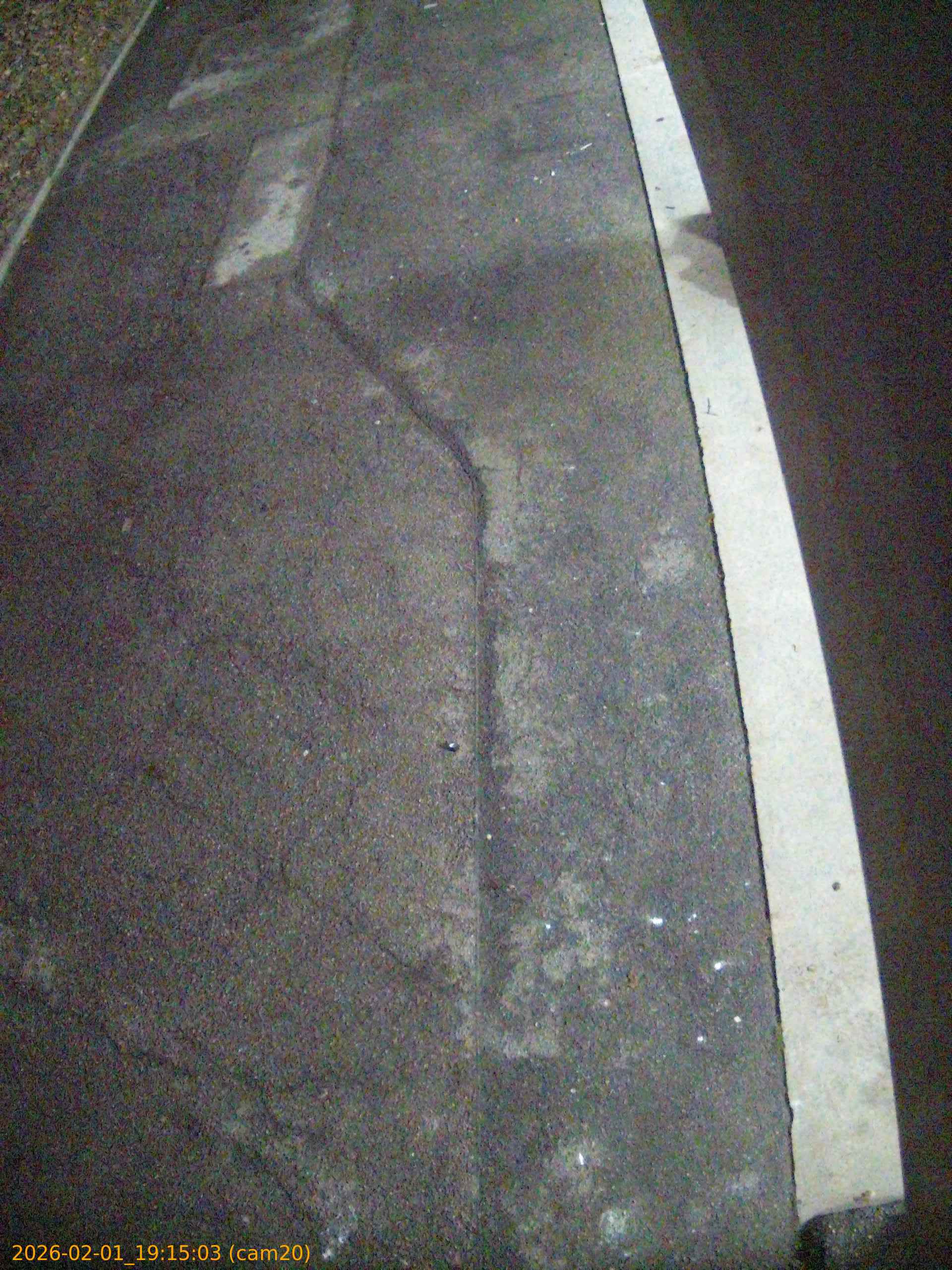 thumbnail_20260201191503