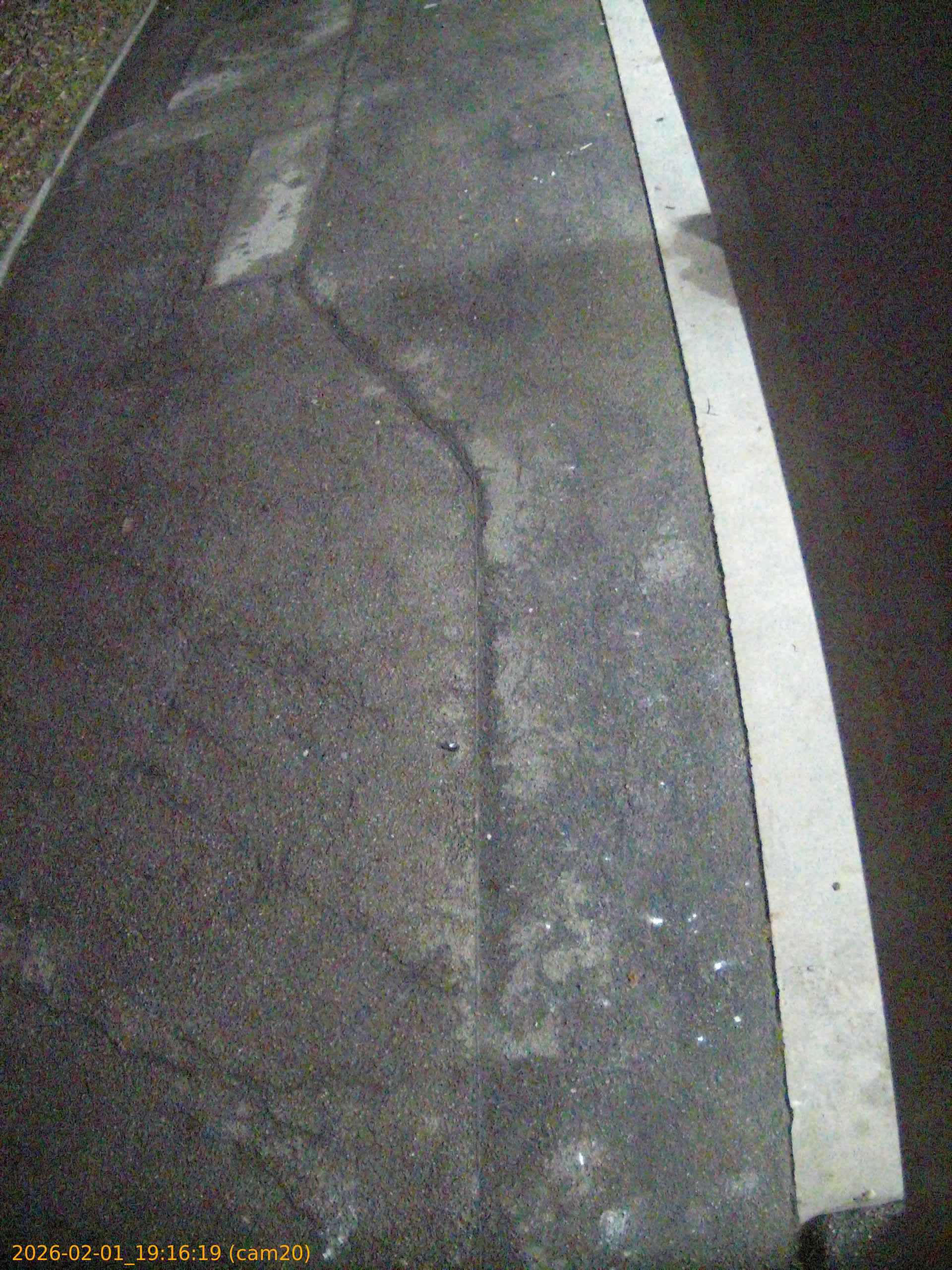 thumbnail_20260201191619