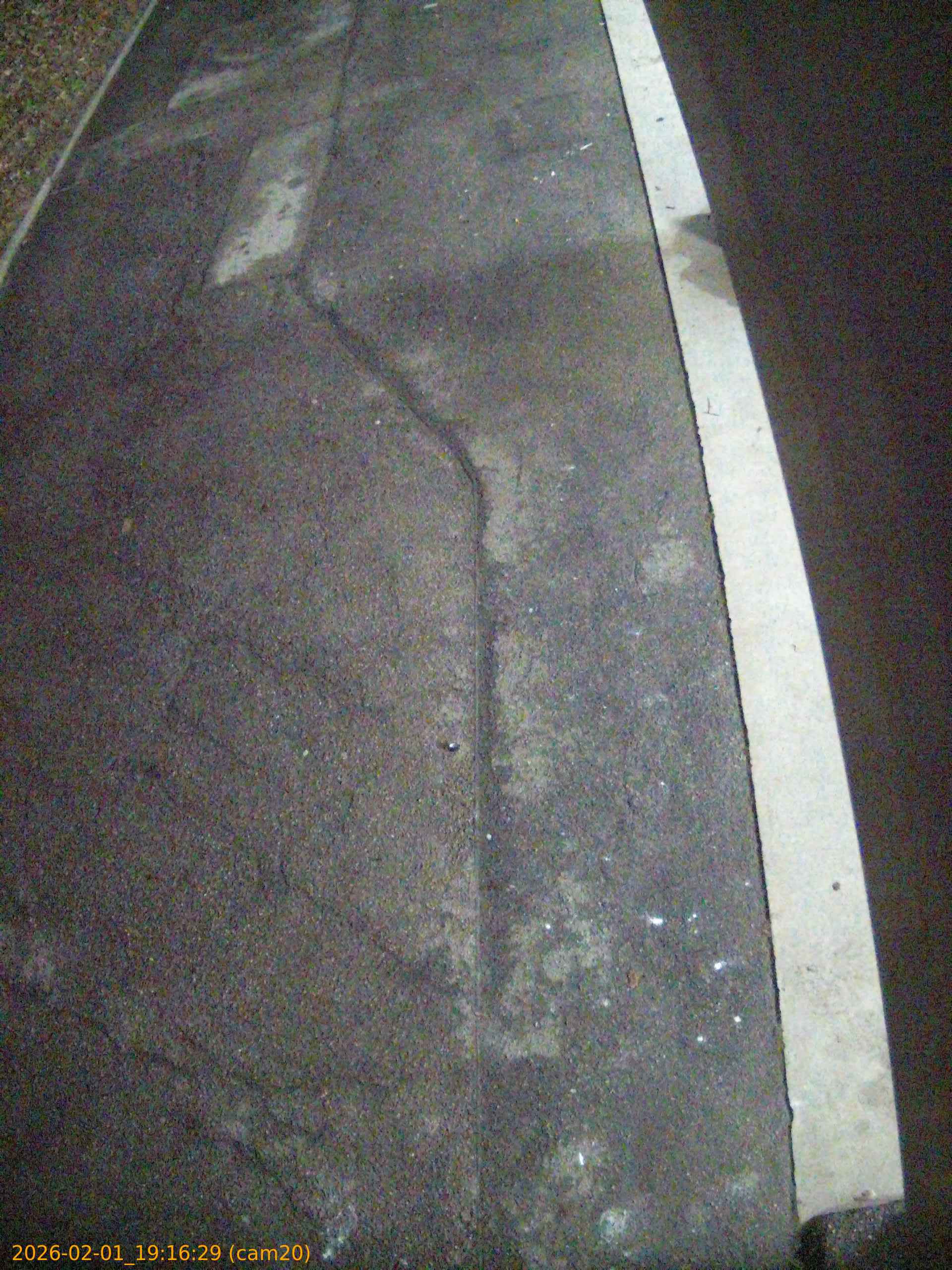 thumbnail_20260201191629