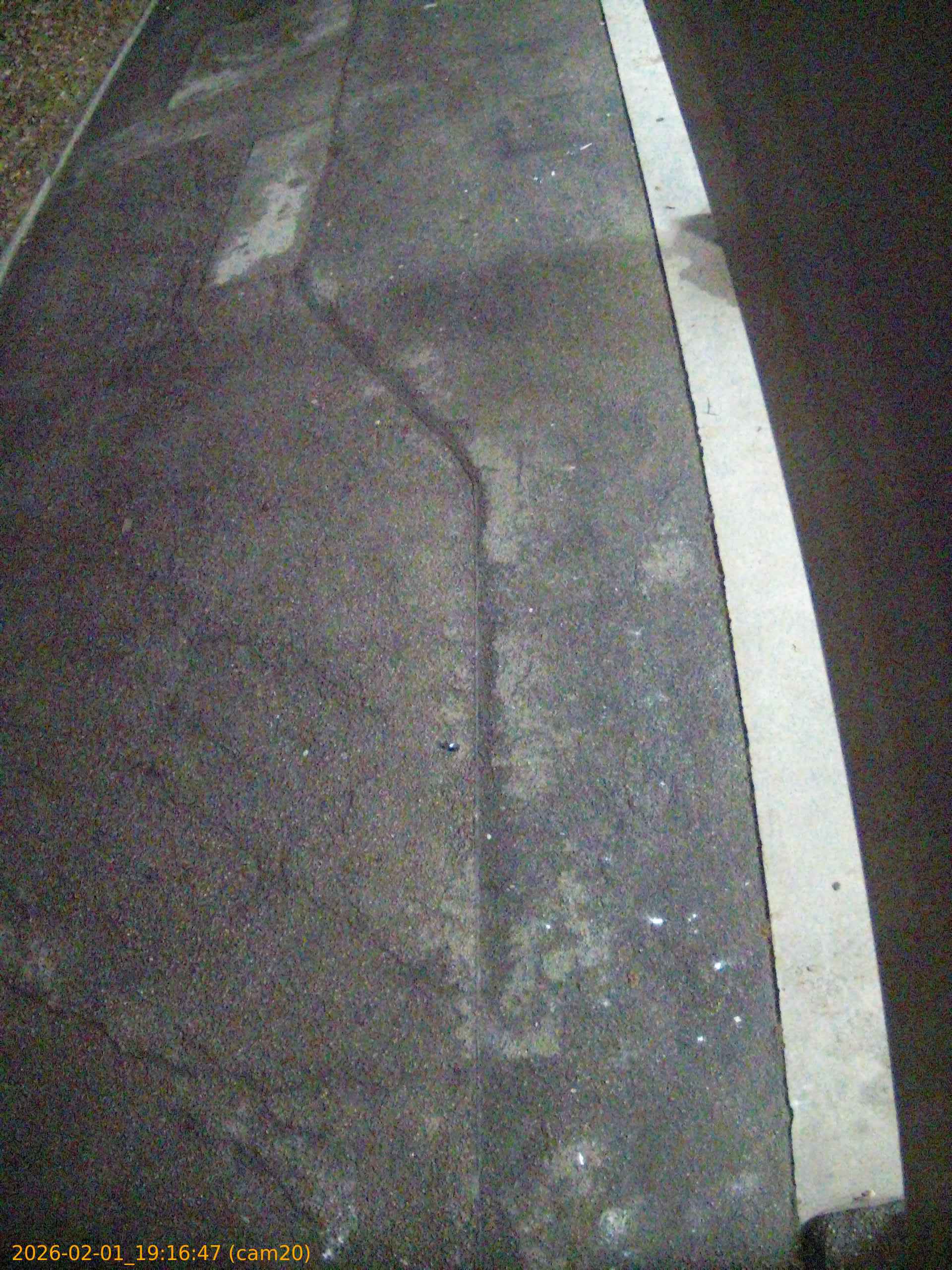 thumbnail_20260201191647