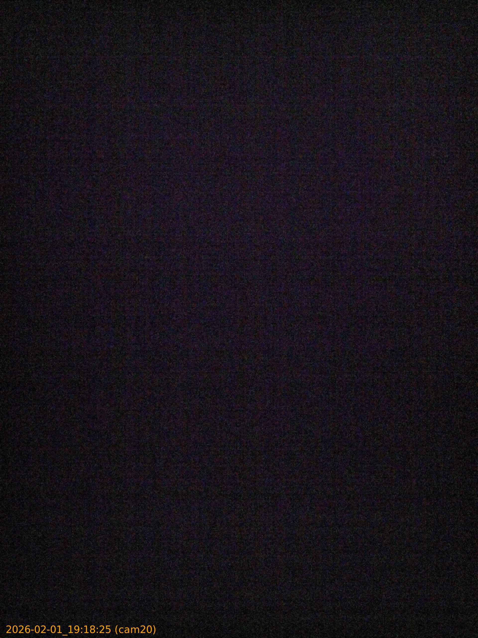 thumbnail_20260201191825