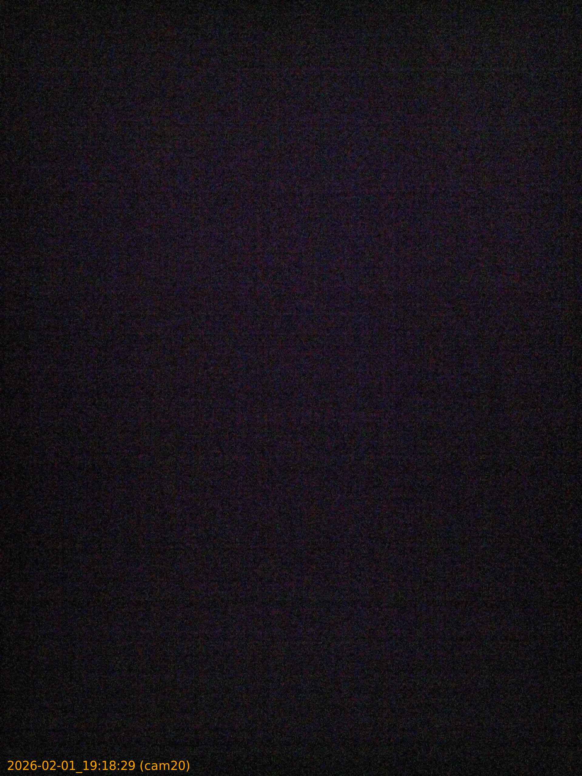 thumbnail_20260201191829