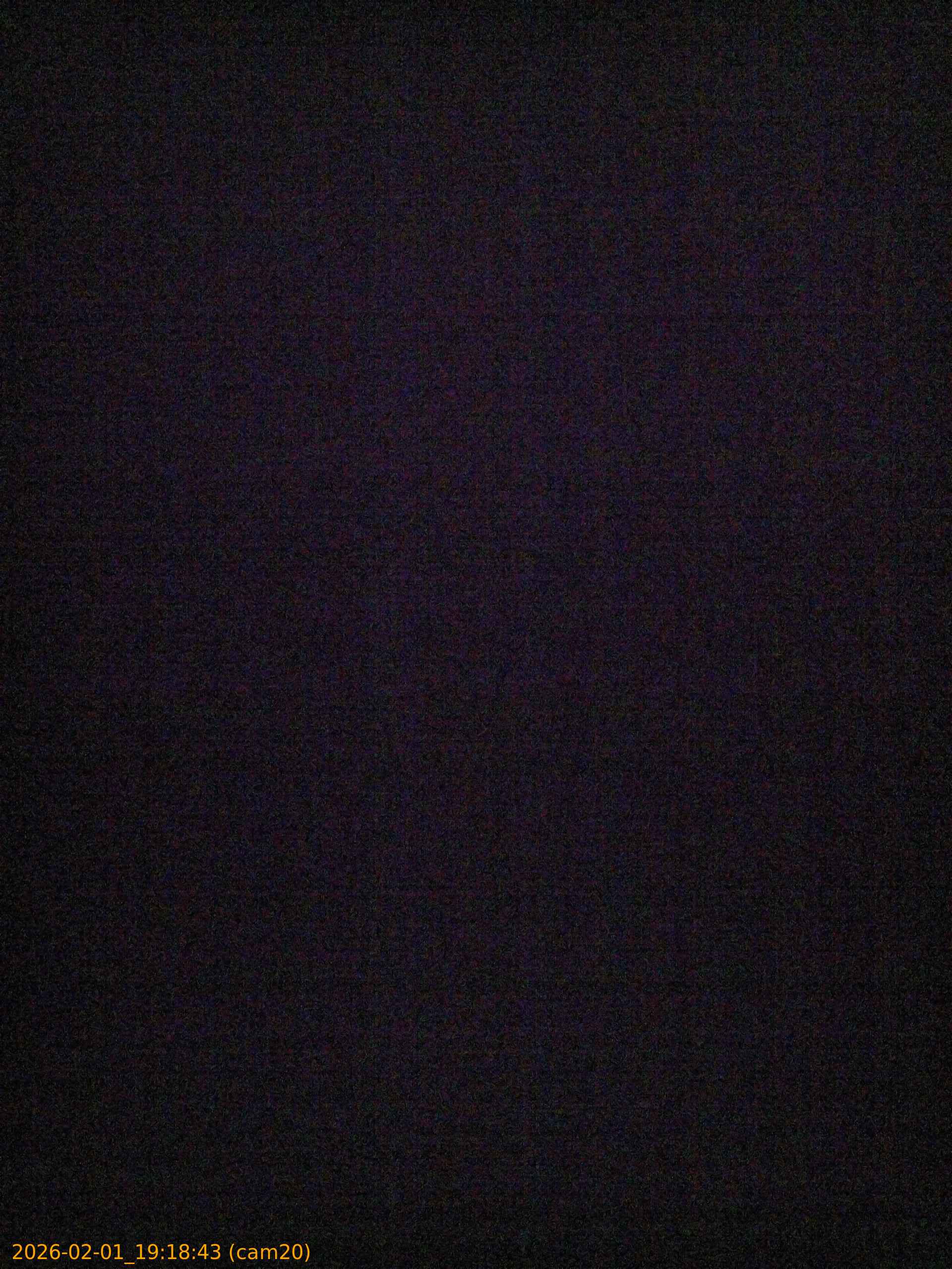 thumbnail_20260201191843