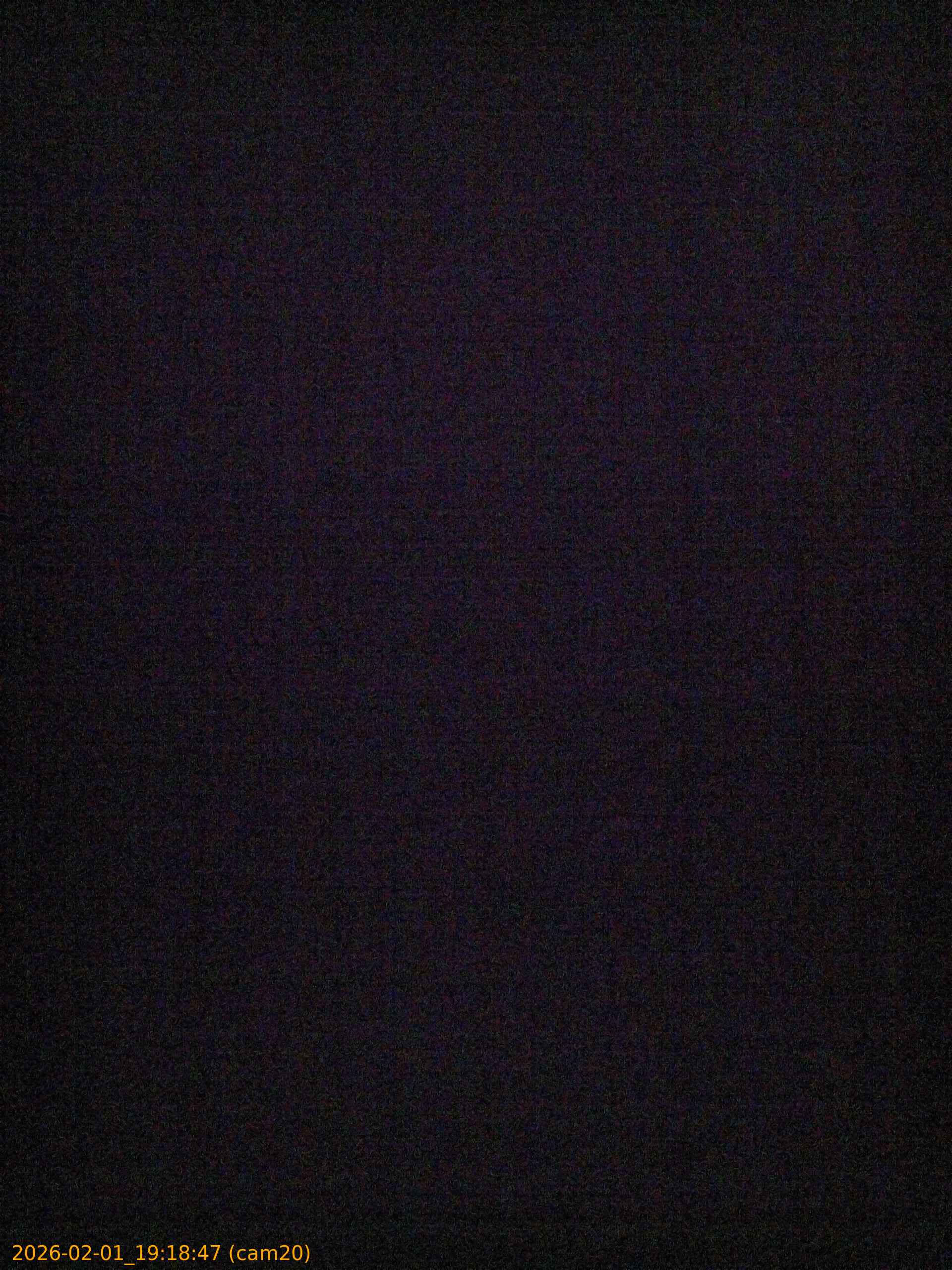 thumbnail_20260201191847