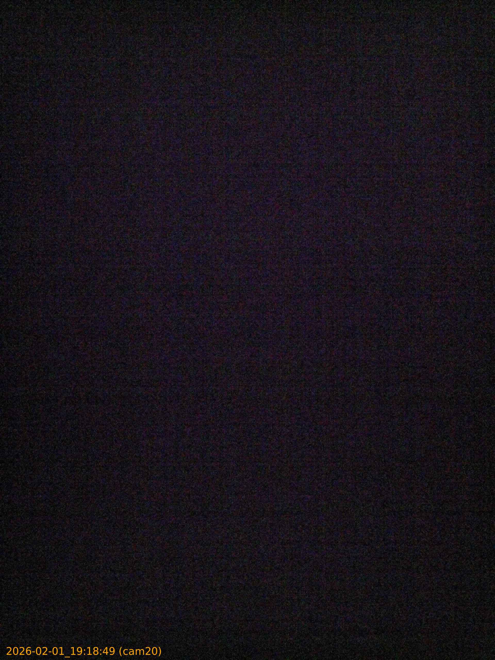 thumbnail_20260201191849