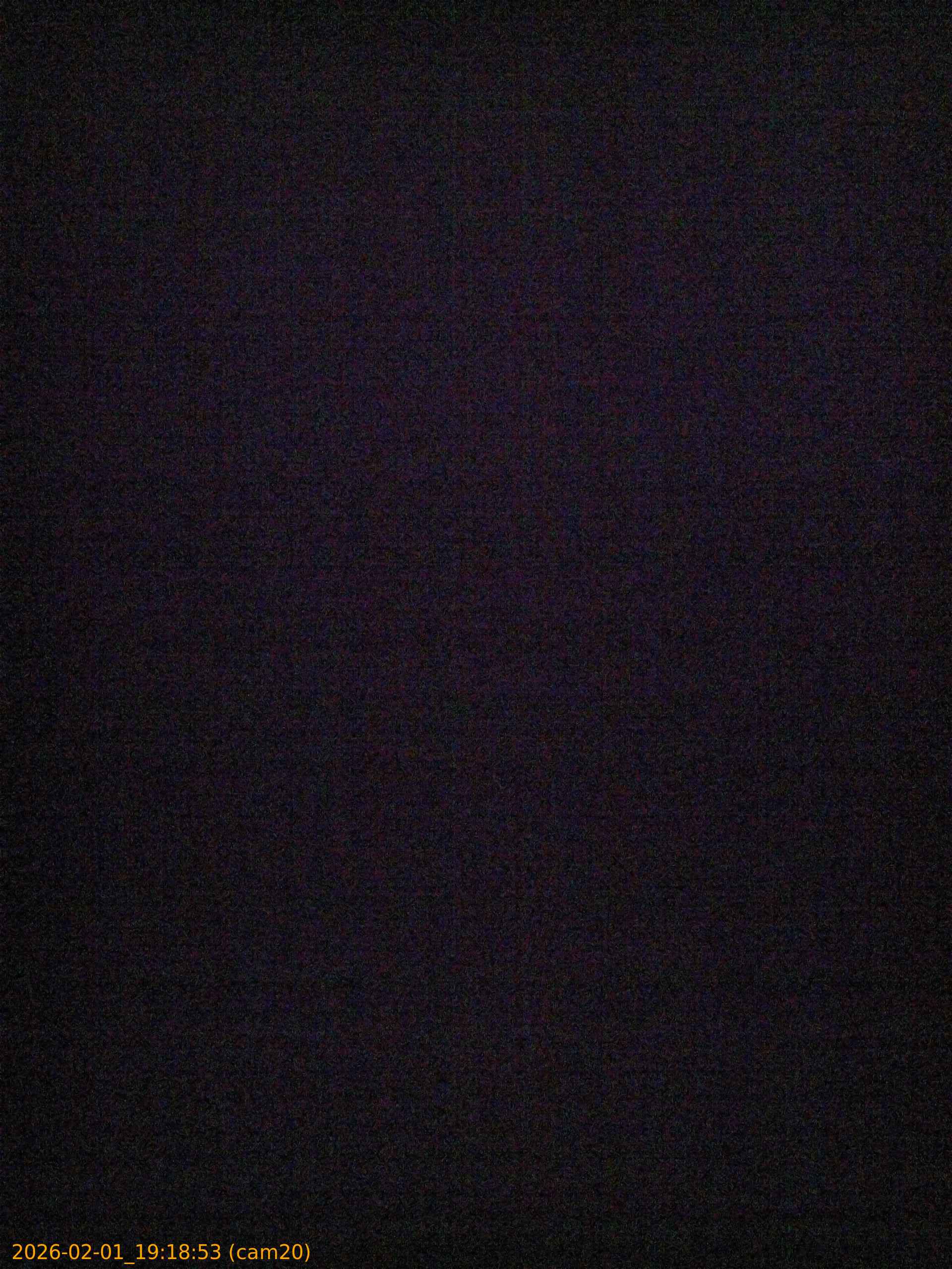 thumbnail_20260201191853