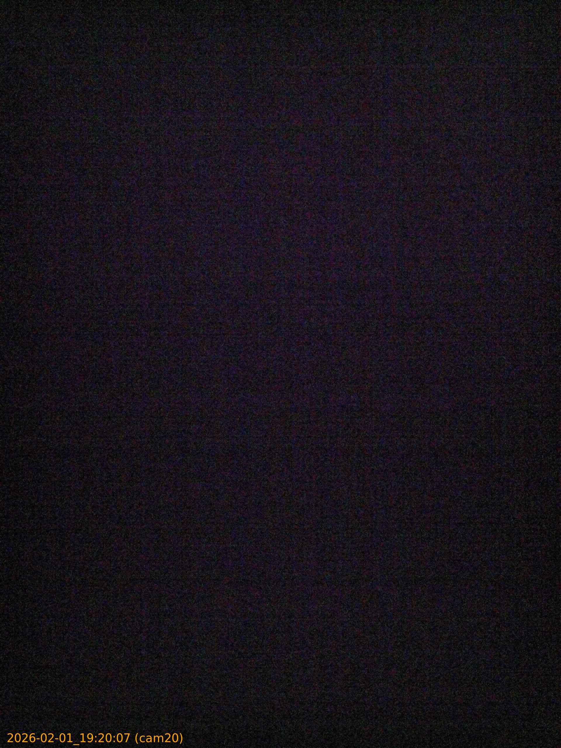 20260201192007