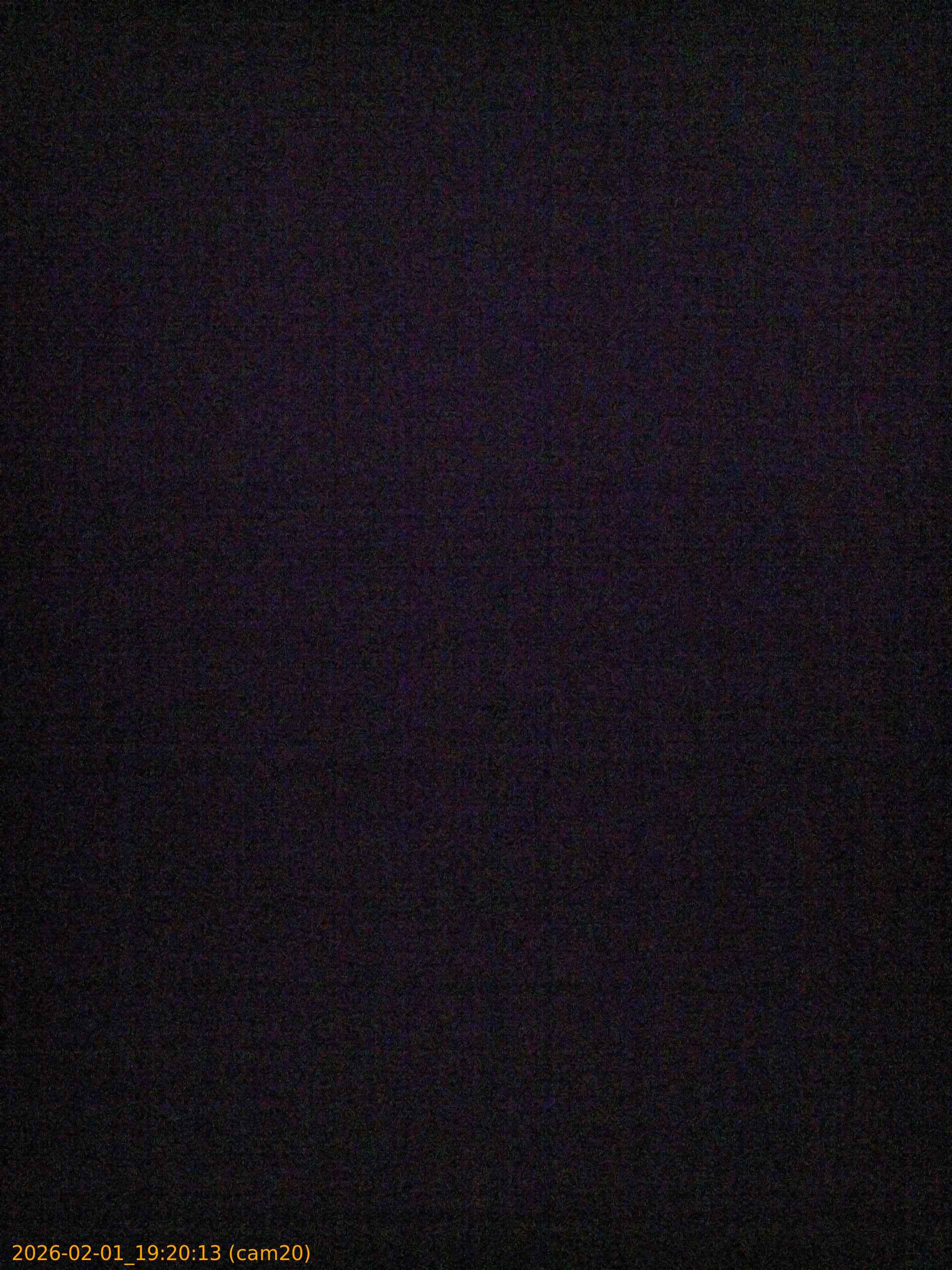 20260201192013