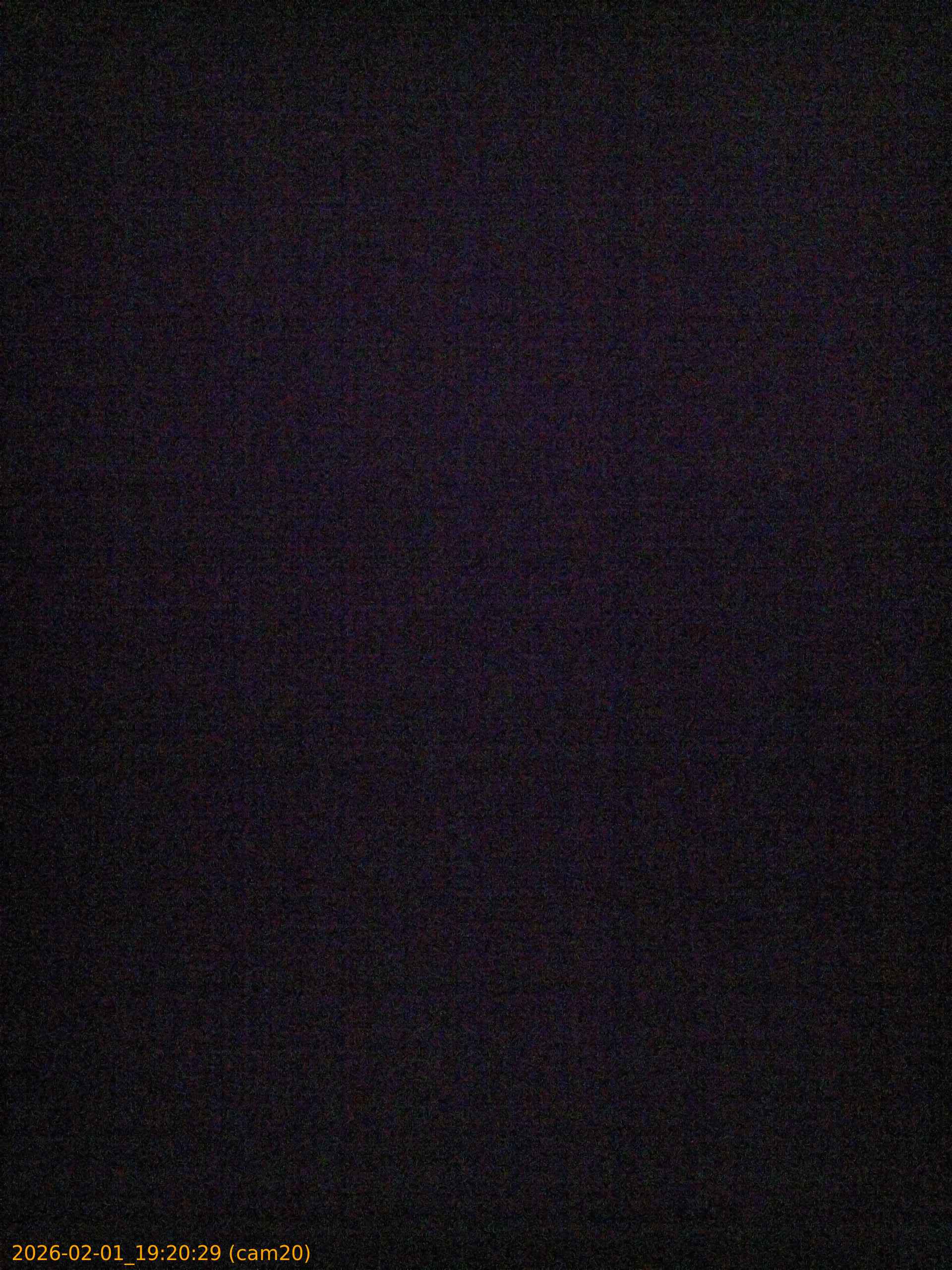 20260201192029