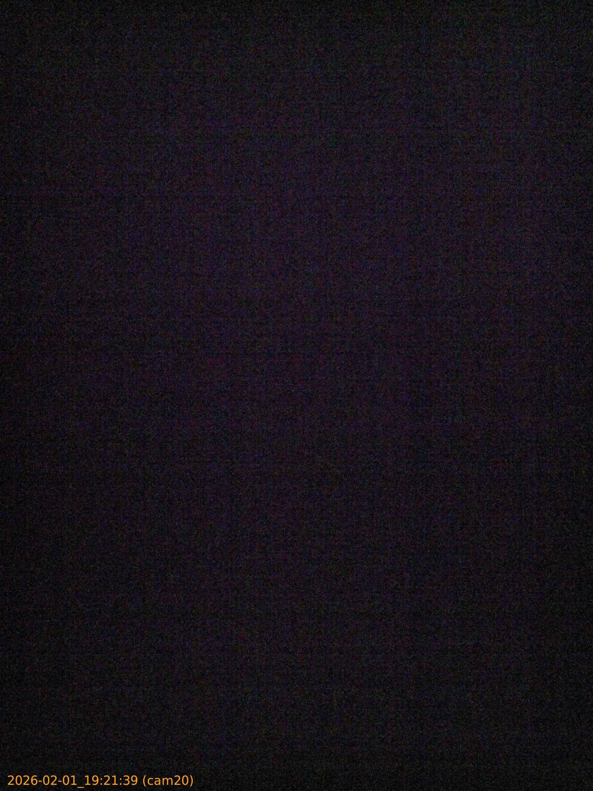 thumbnail_20260201192139