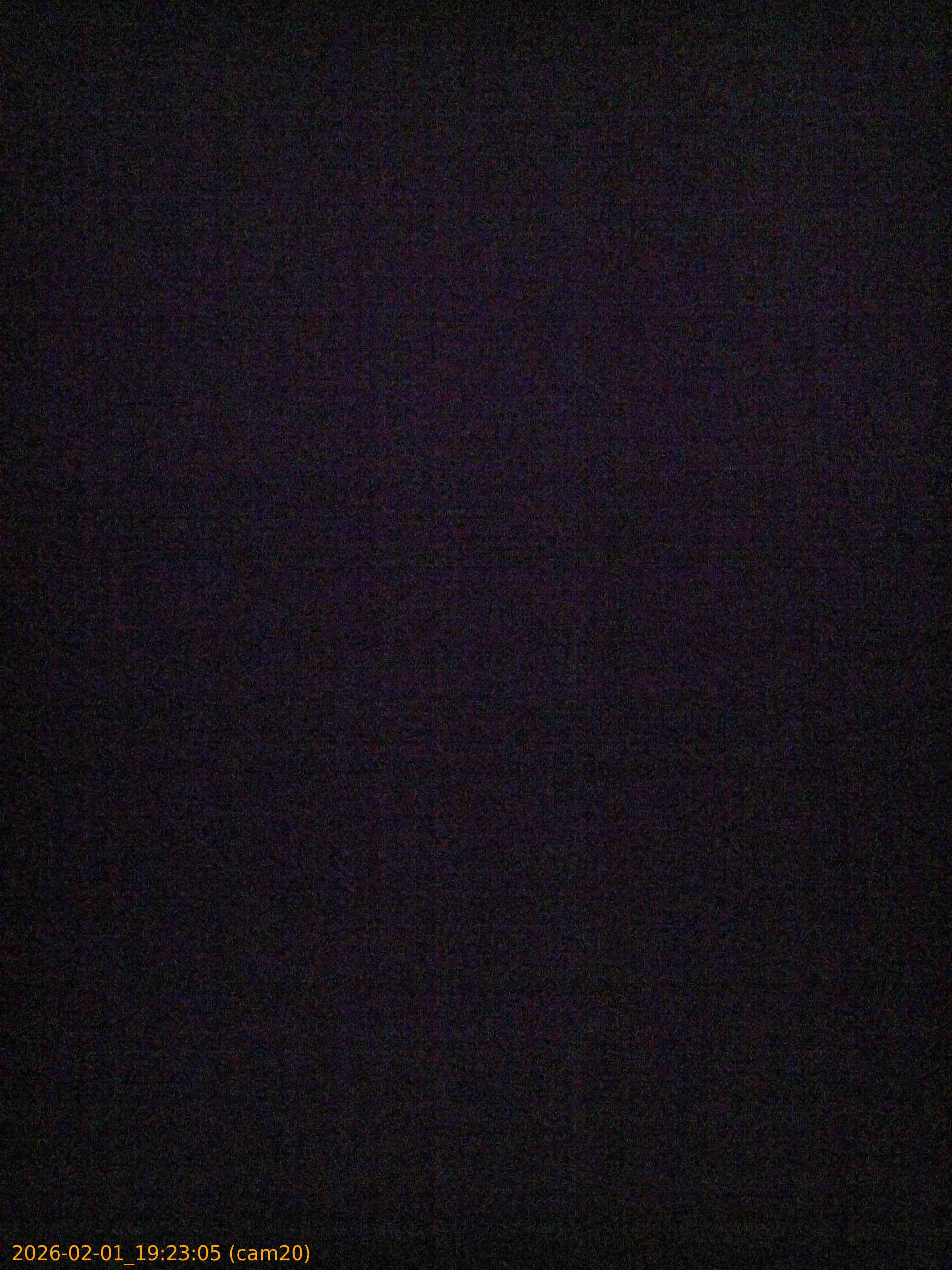 thumbnail_20260201192305