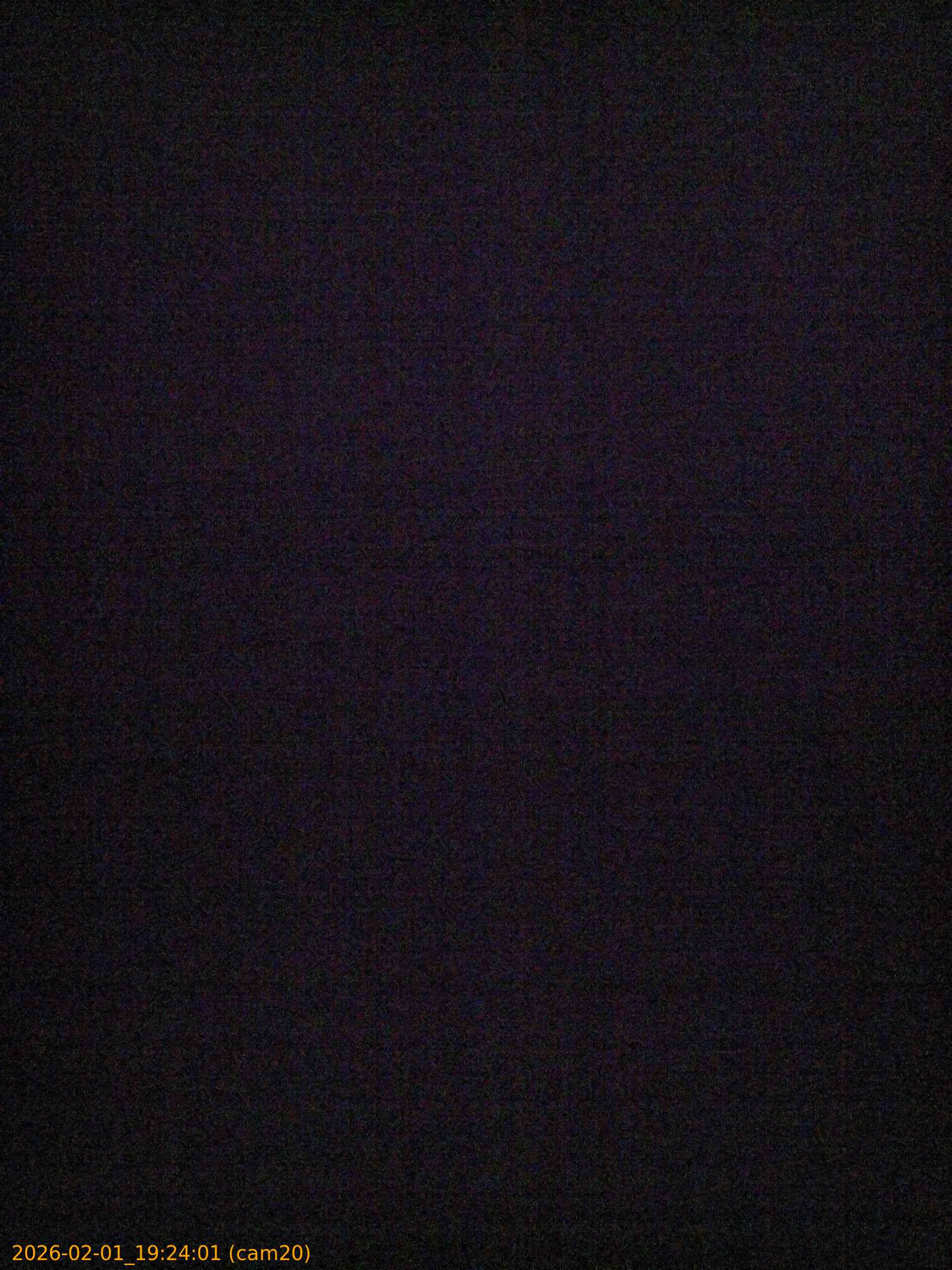 thumbnail_20260201192401