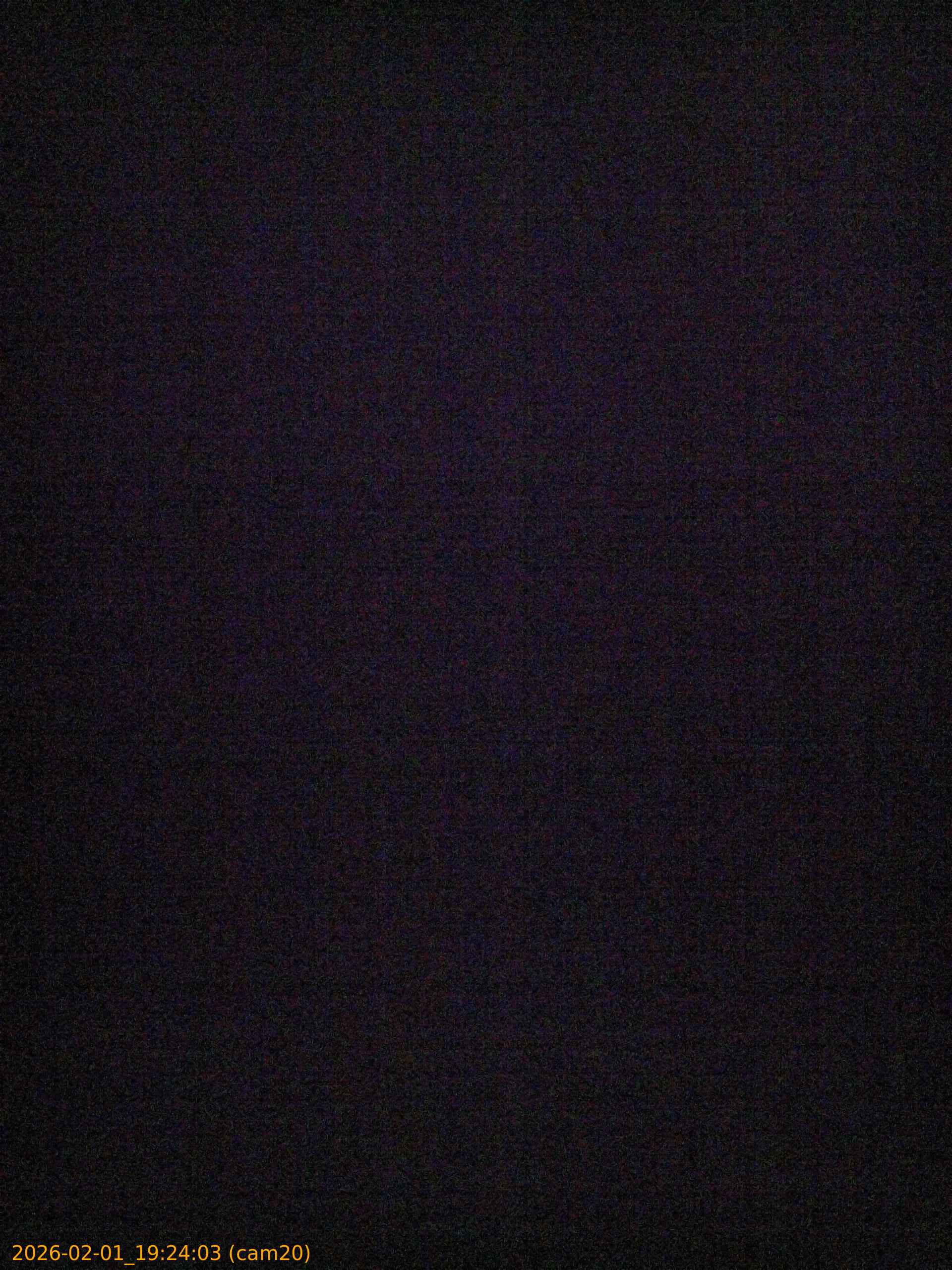 thumbnail_20260201192403