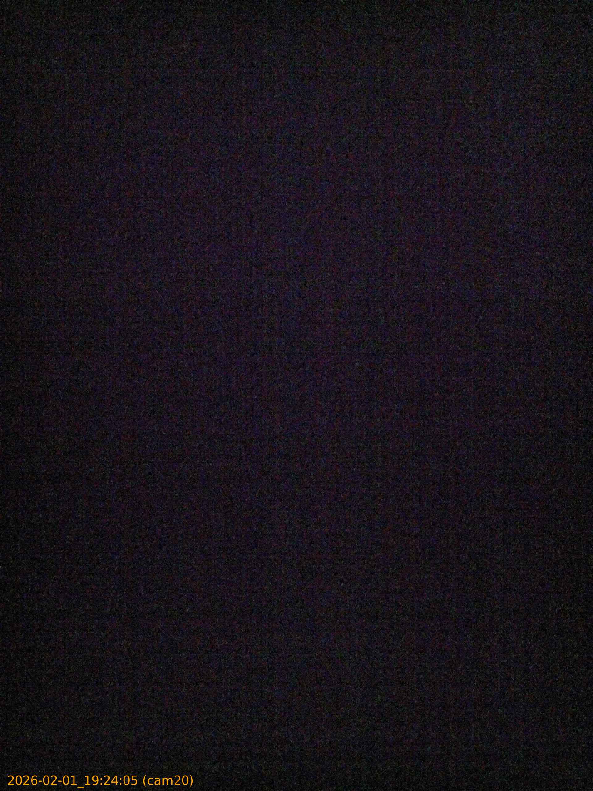 thumbnail_20260201192405