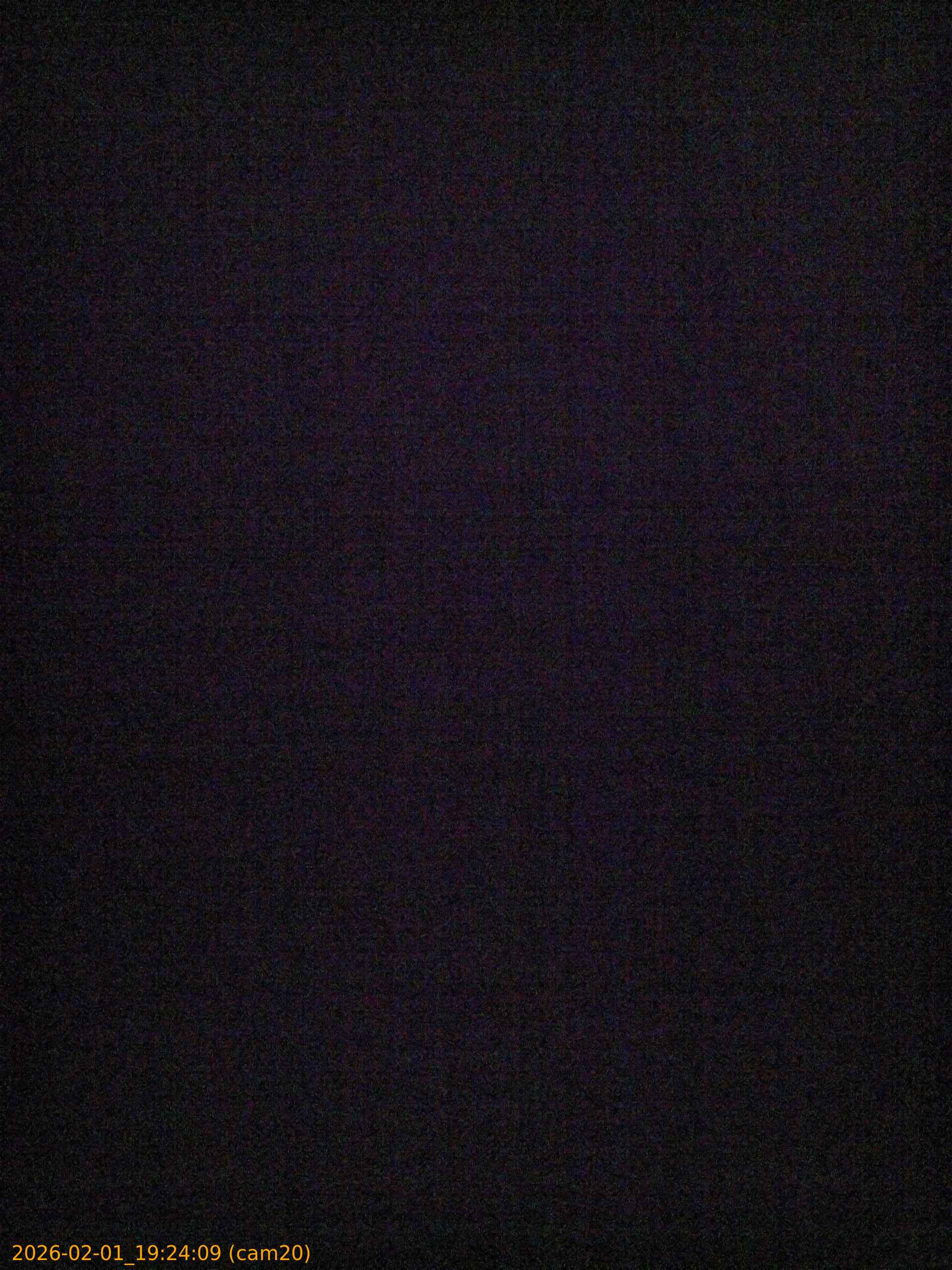 thumbnail_20260201192409