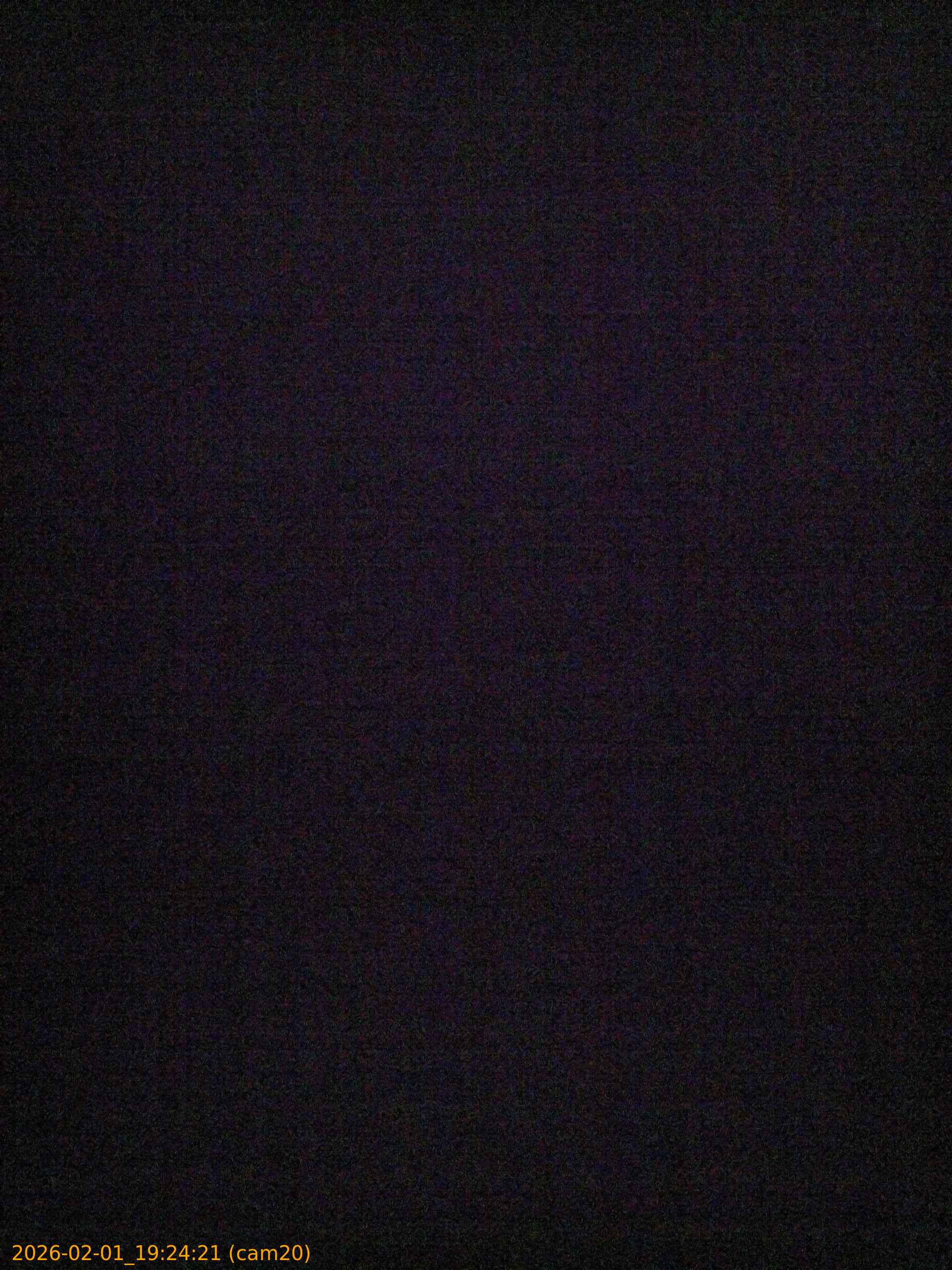 thumbnail_20260201192421