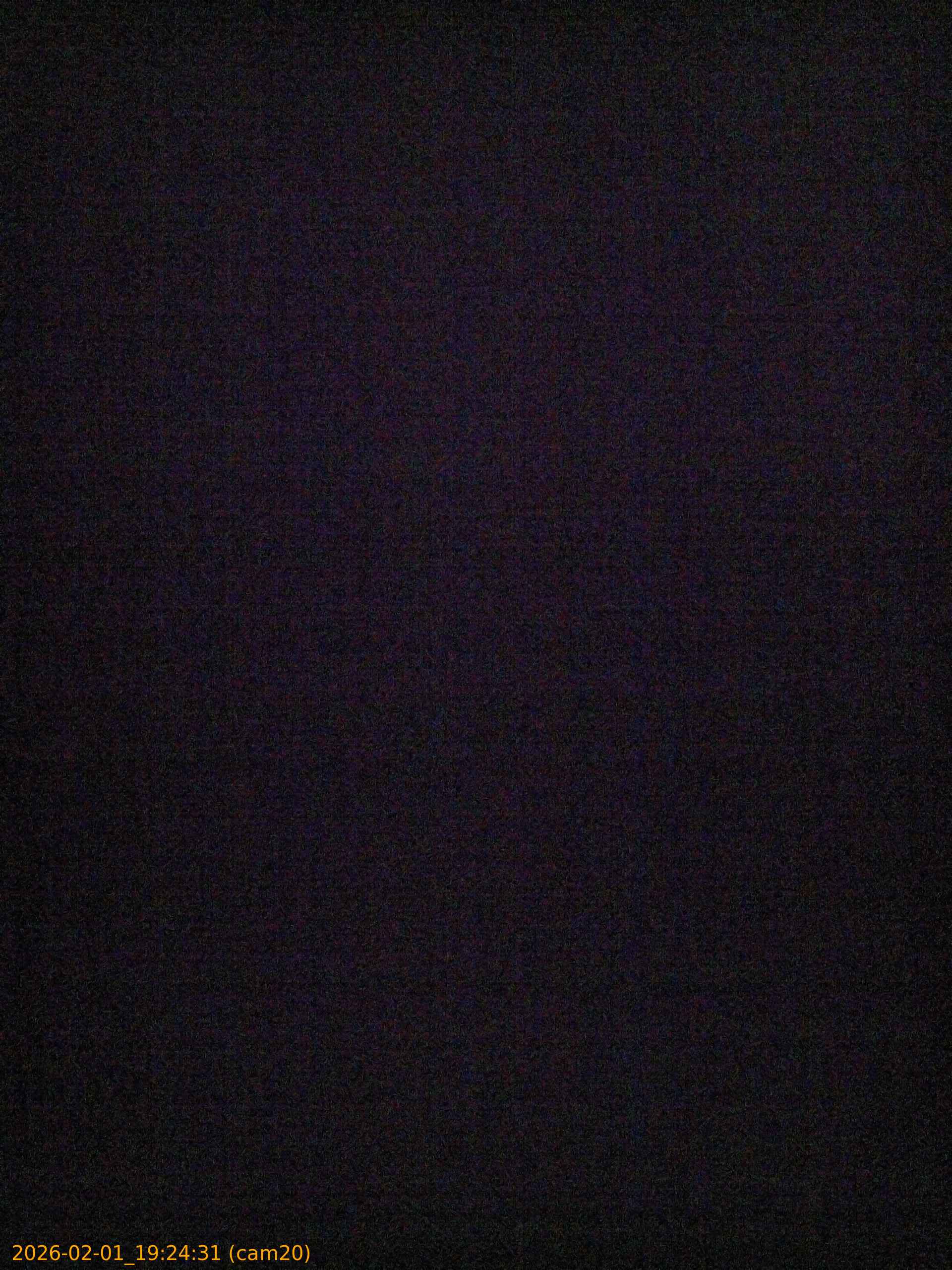 thumbnail_20260201192431