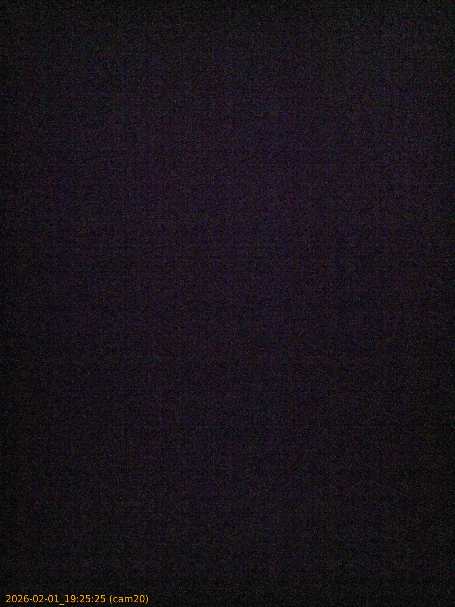 thumbnail_20260201192525