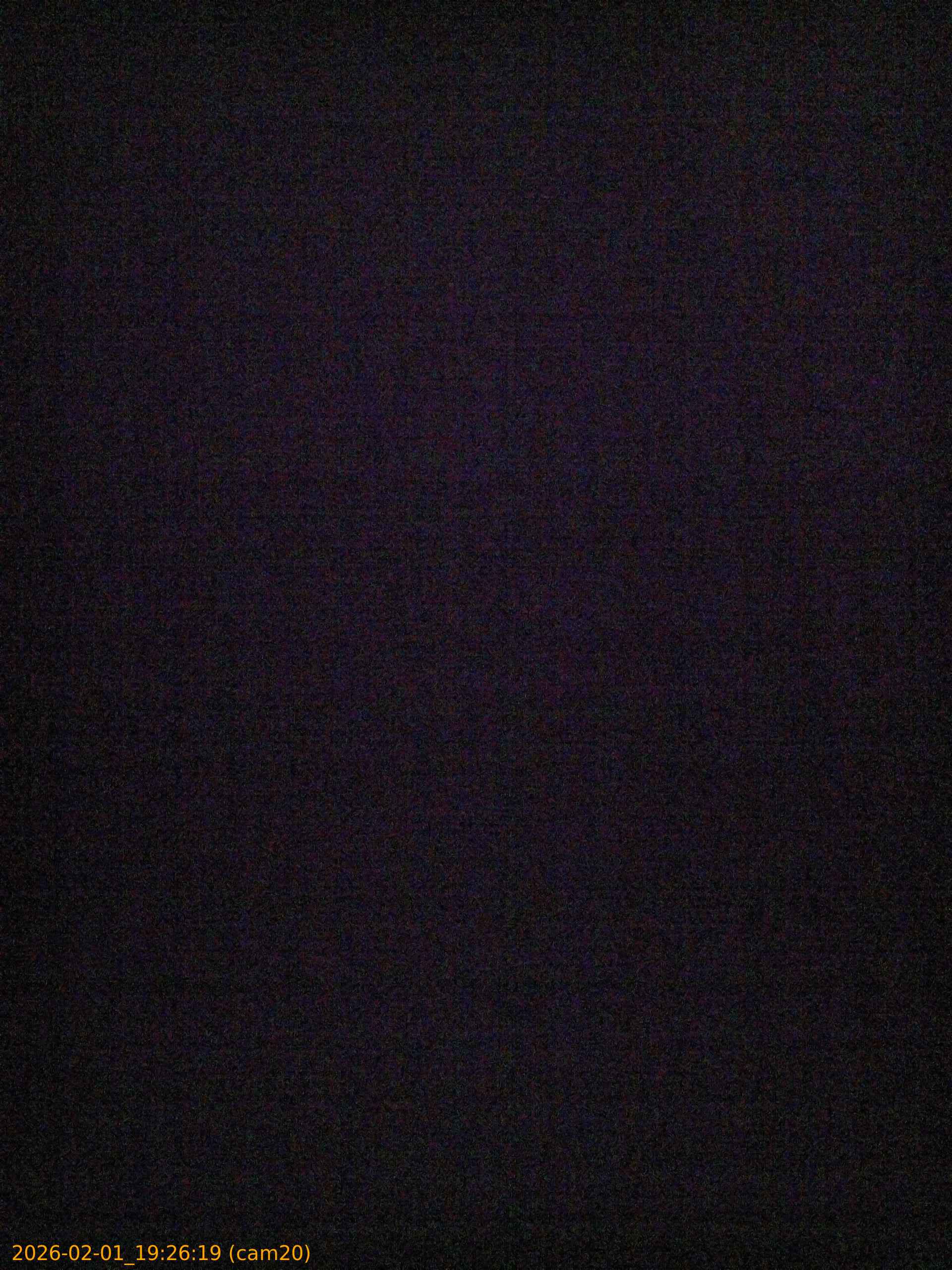 thumbnail_20260201192619